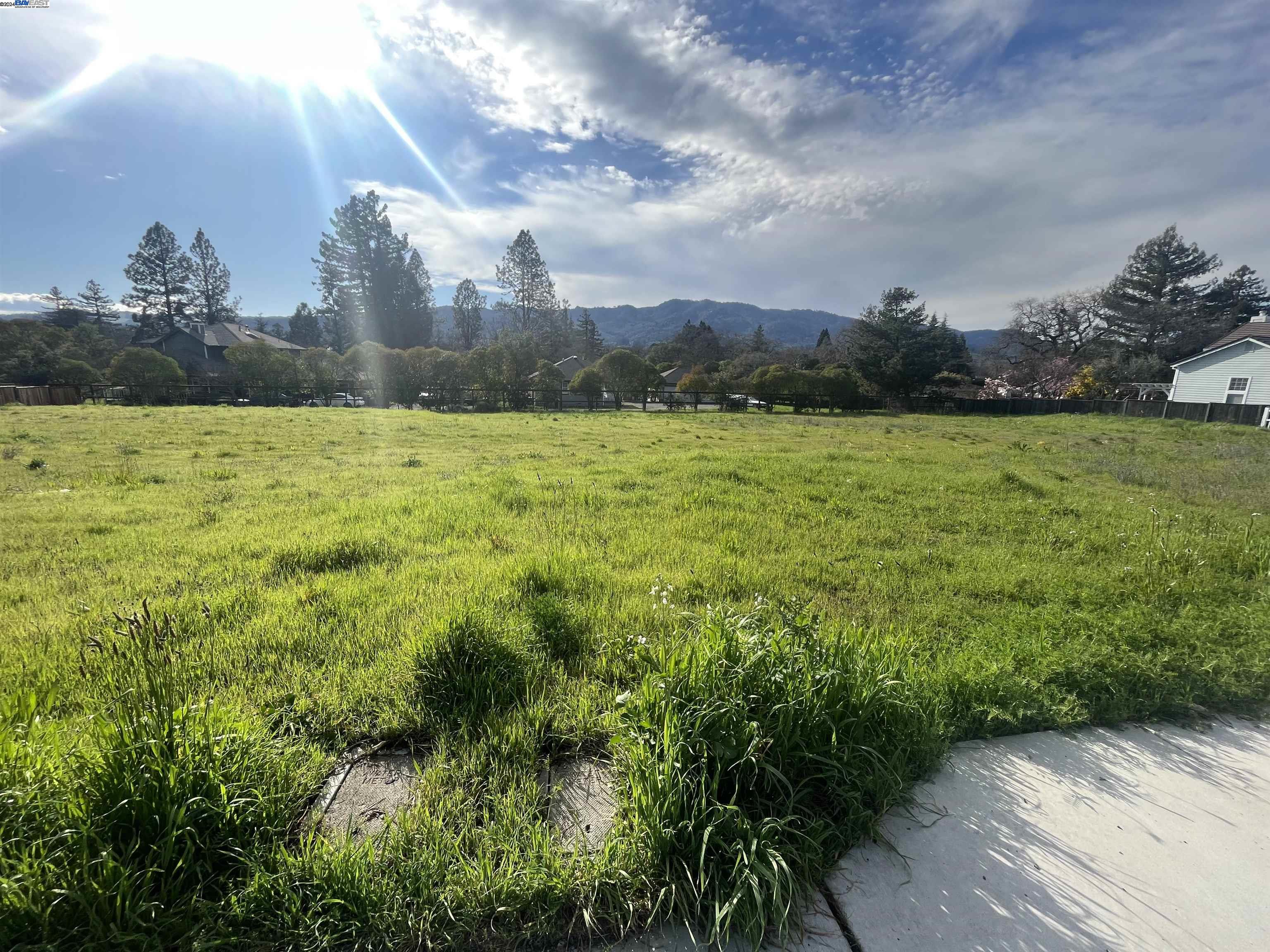 16750 Meadow Oaks Dr