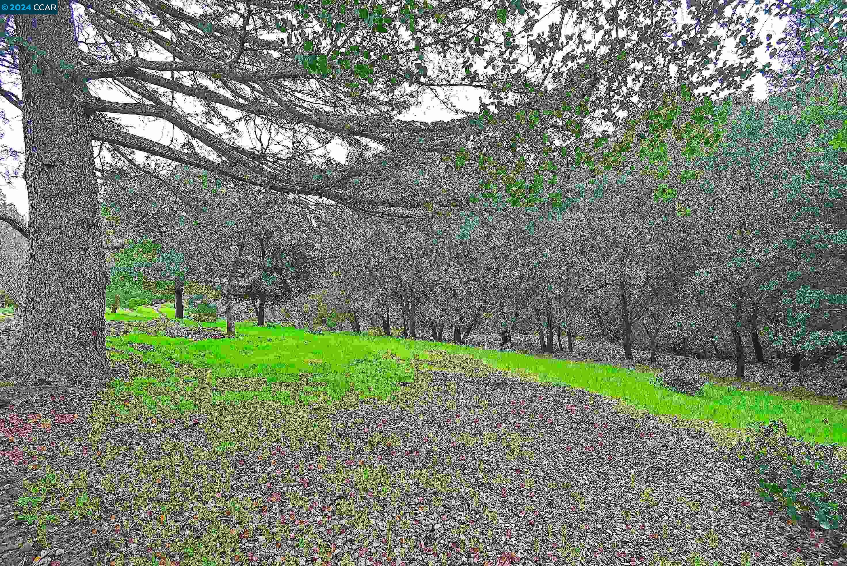 1873 Golden Rain Rd # 2