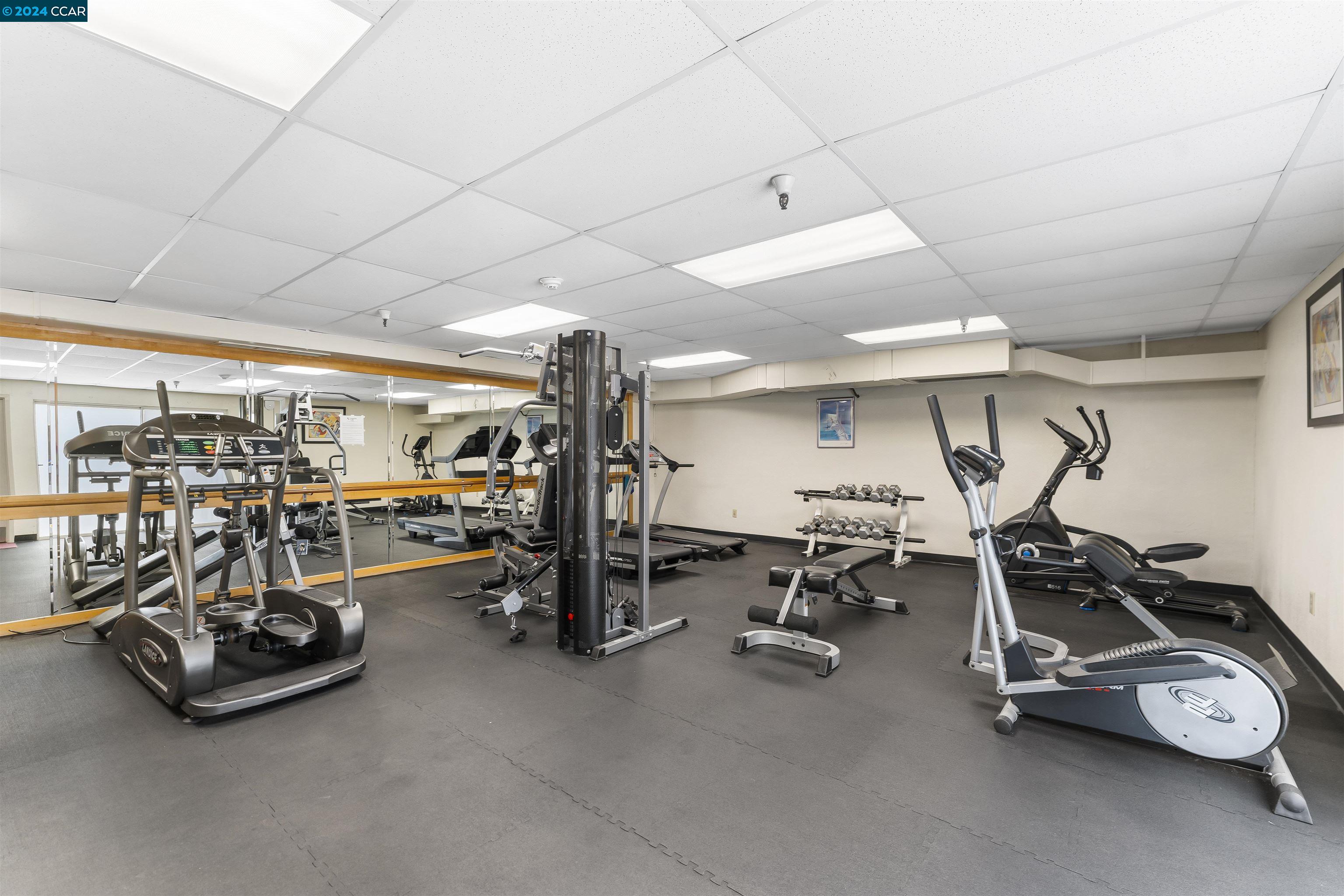 3173 Wayside Plaza # 204