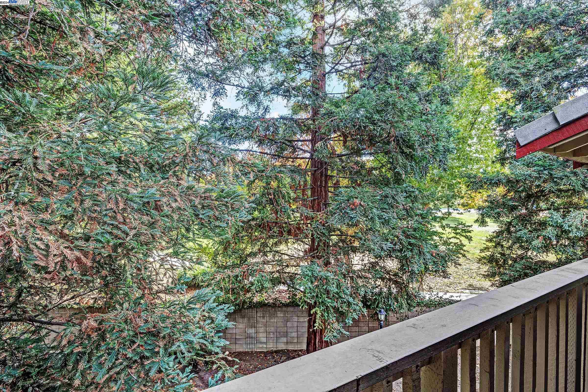 3366 Smoketree Commons Dr