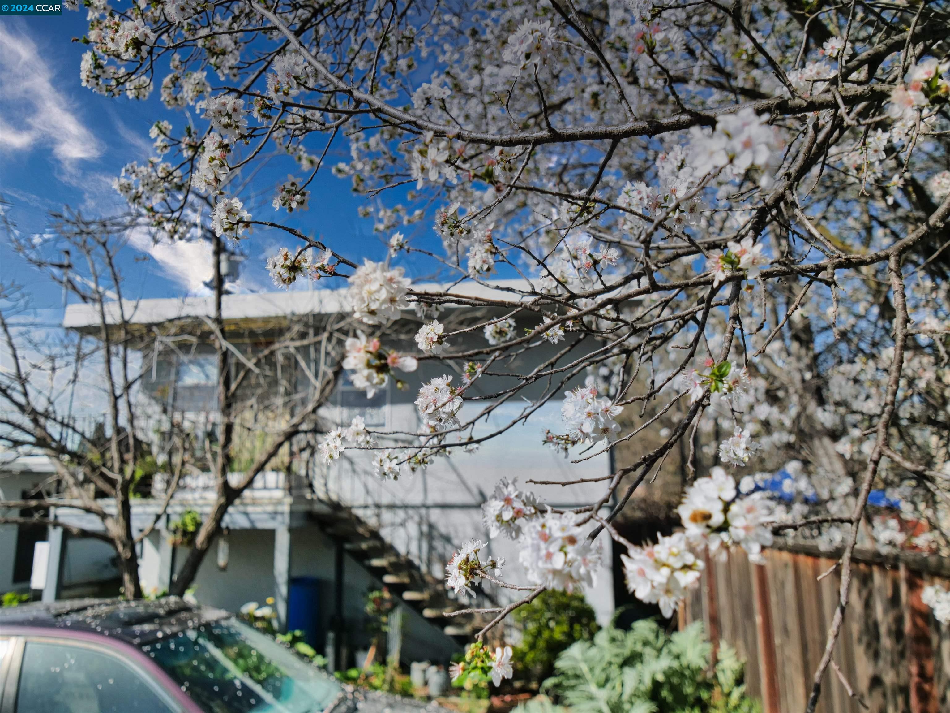 1650 3rd Street