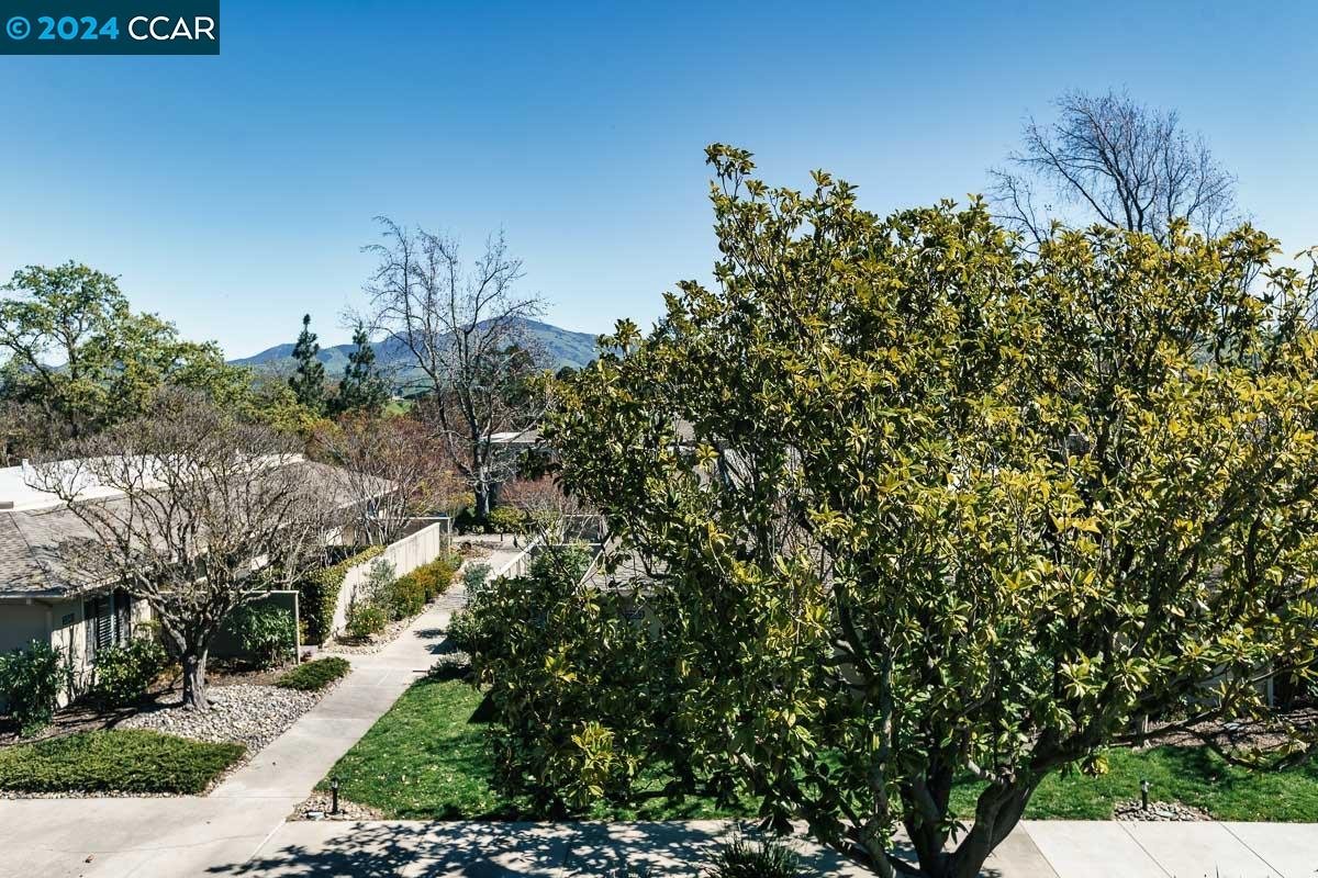 2333 Pine Knoll Drive # 3, Walnut Creek 94595 Unit: 3