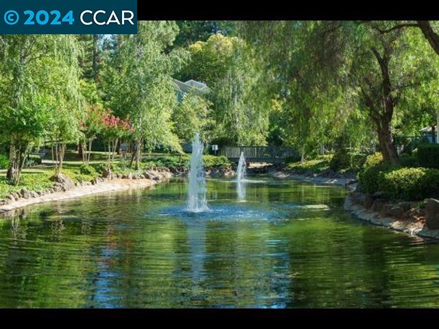 386 Camelback Rd