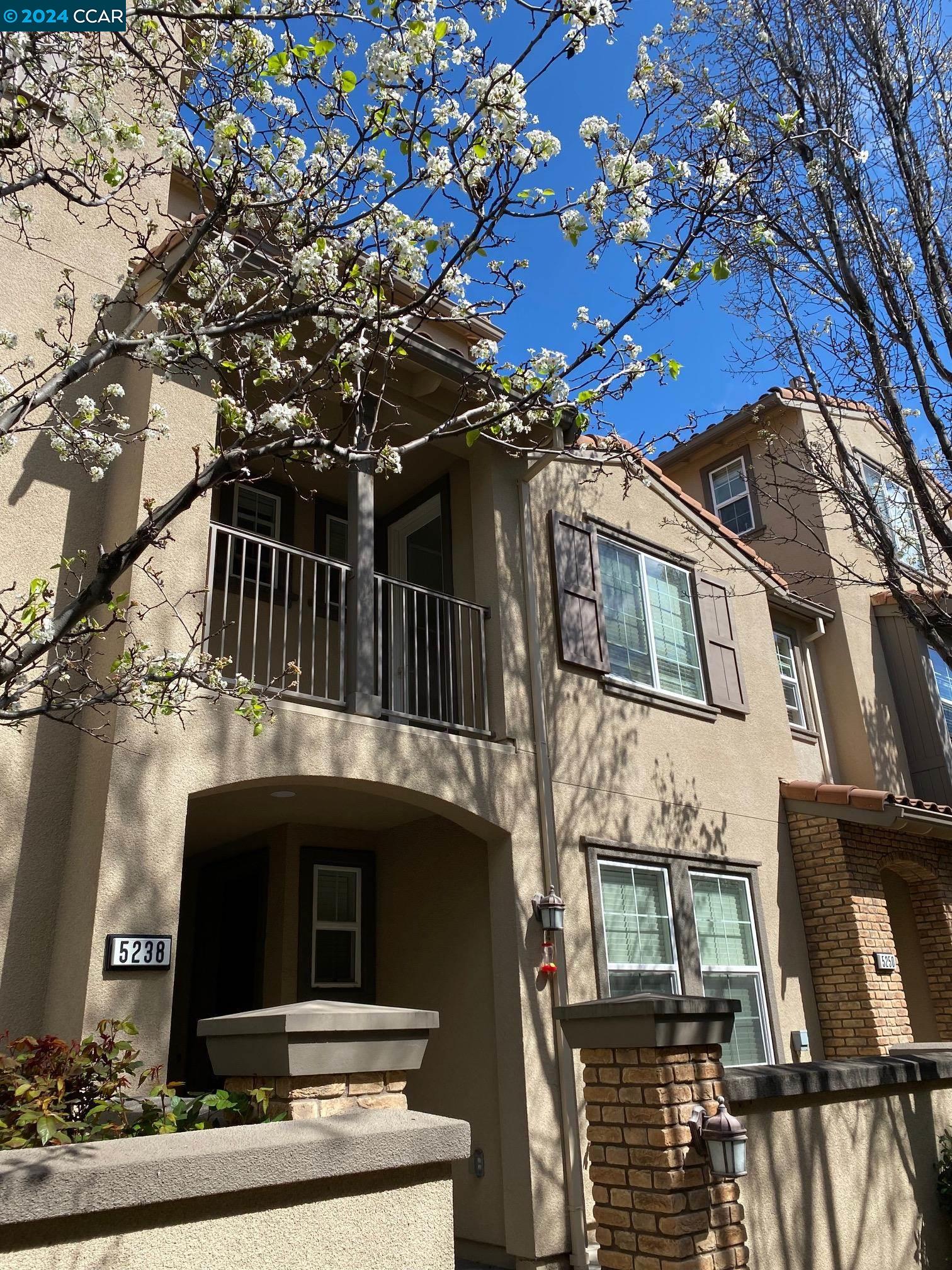 5238 FIOLI LOOP