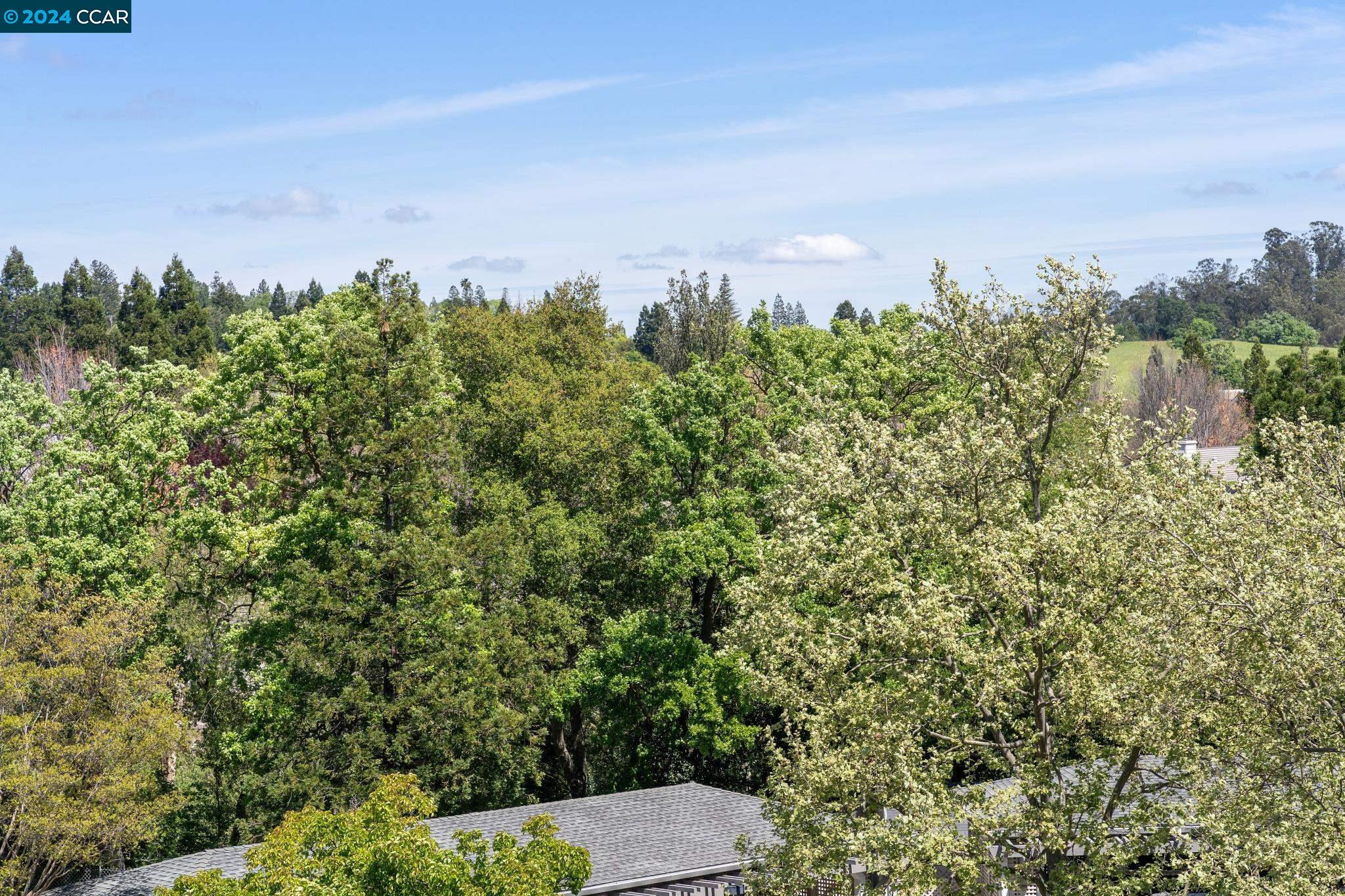 1840 Tice Creek # 2405