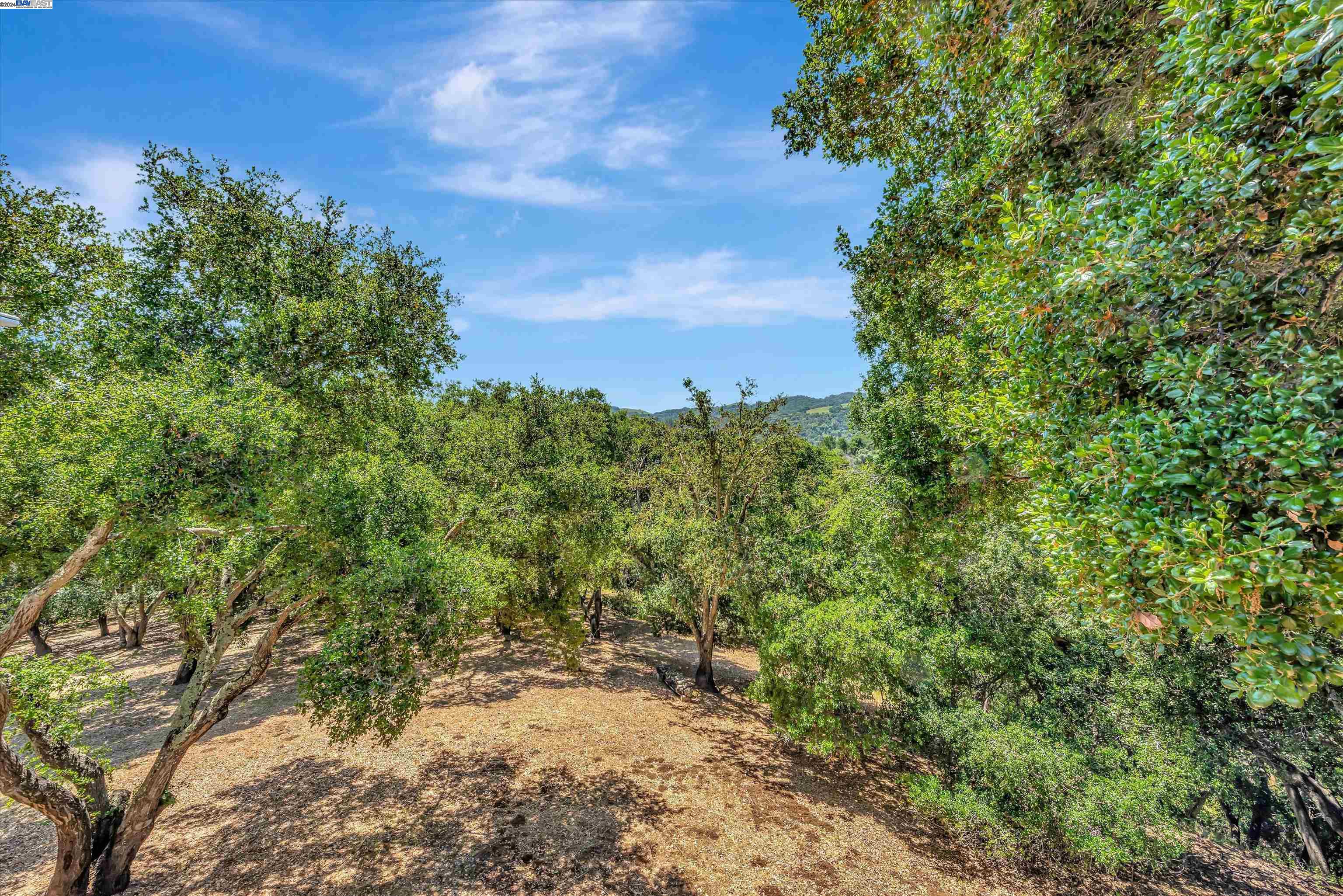 5430 Stonehurst drive