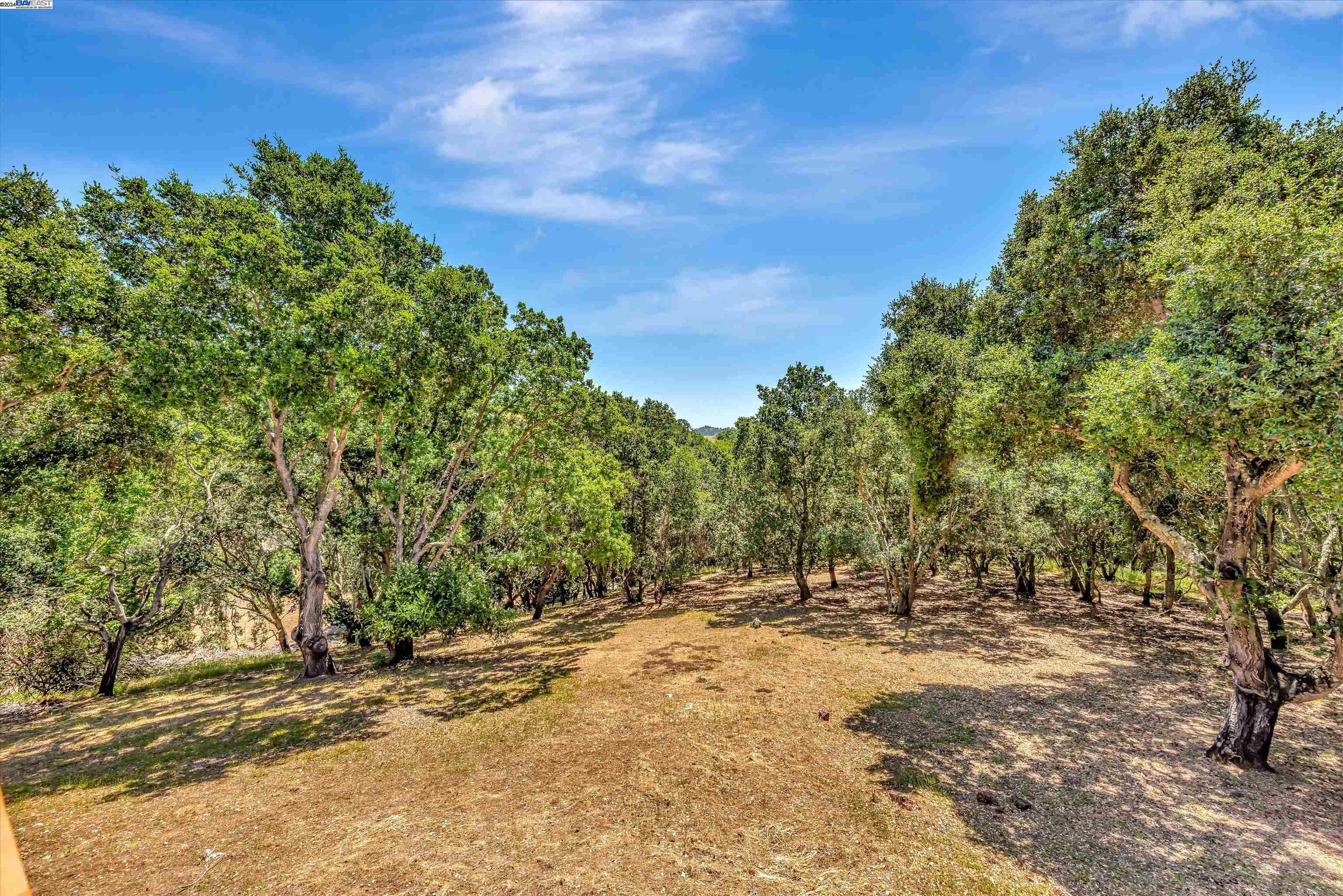 5430 Stonehurst drive