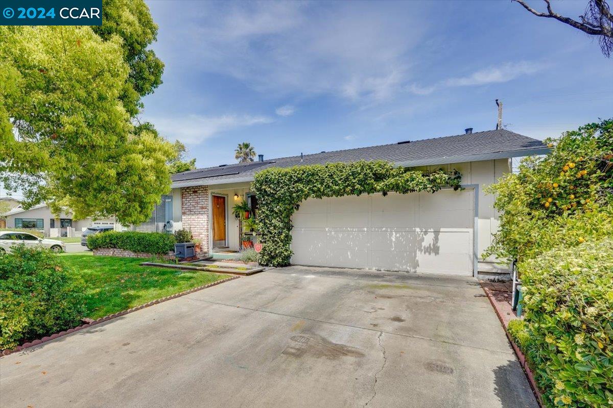 919 Larkspur Ave