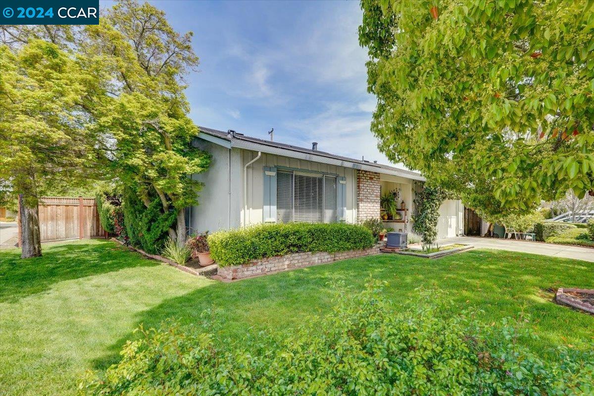 919 Larkspur Ave