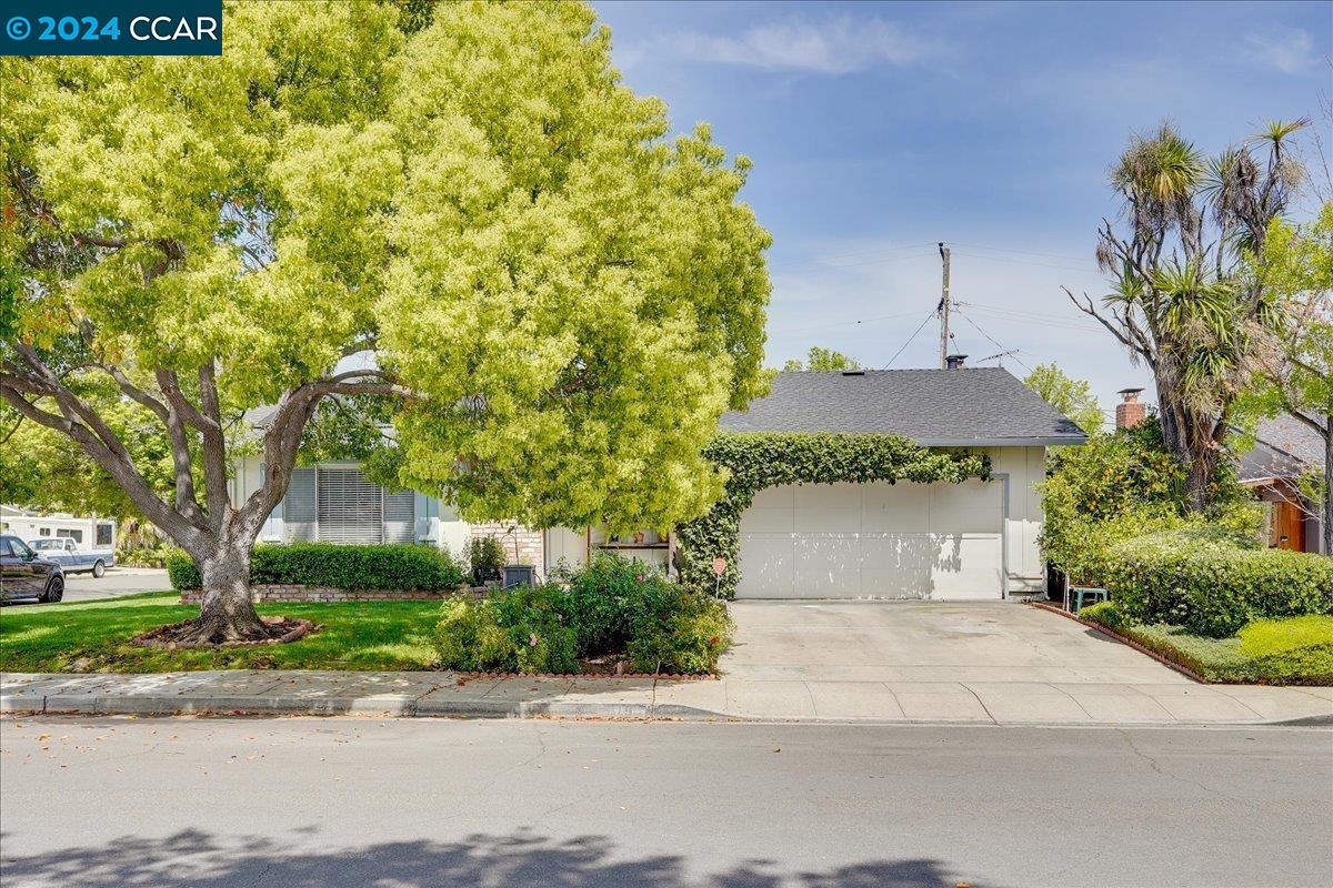 919 Larkspur Ave