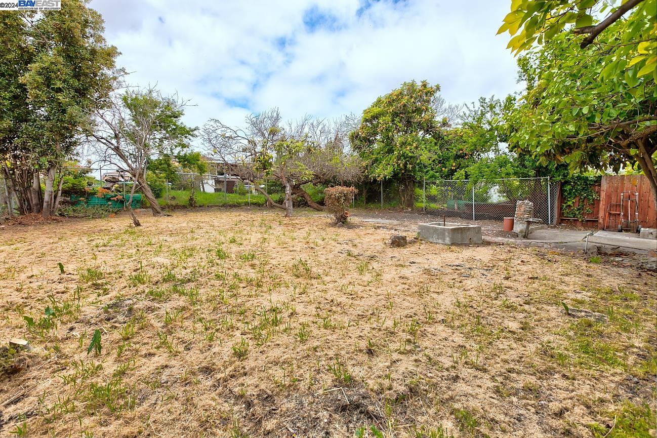 21179 Locust St.