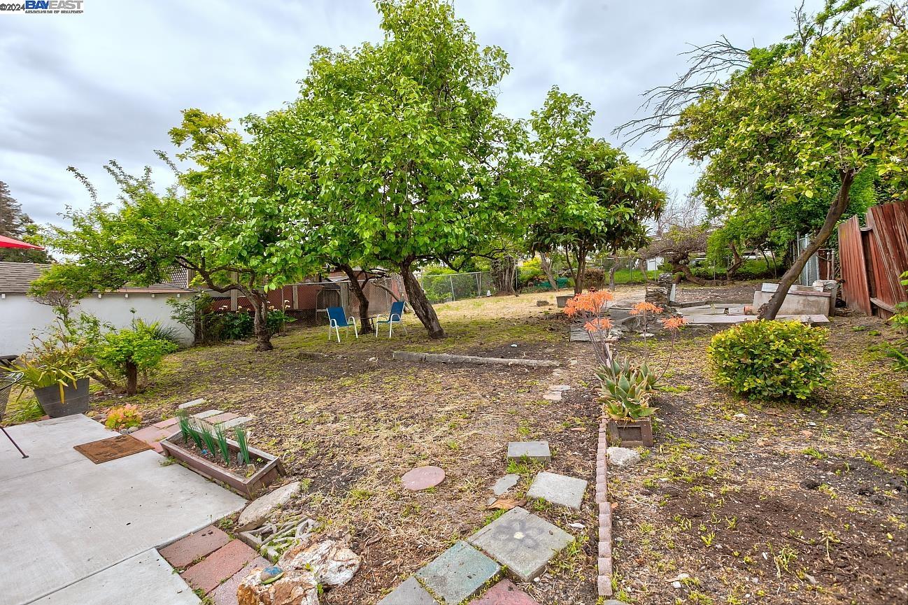 21179 Locust St.