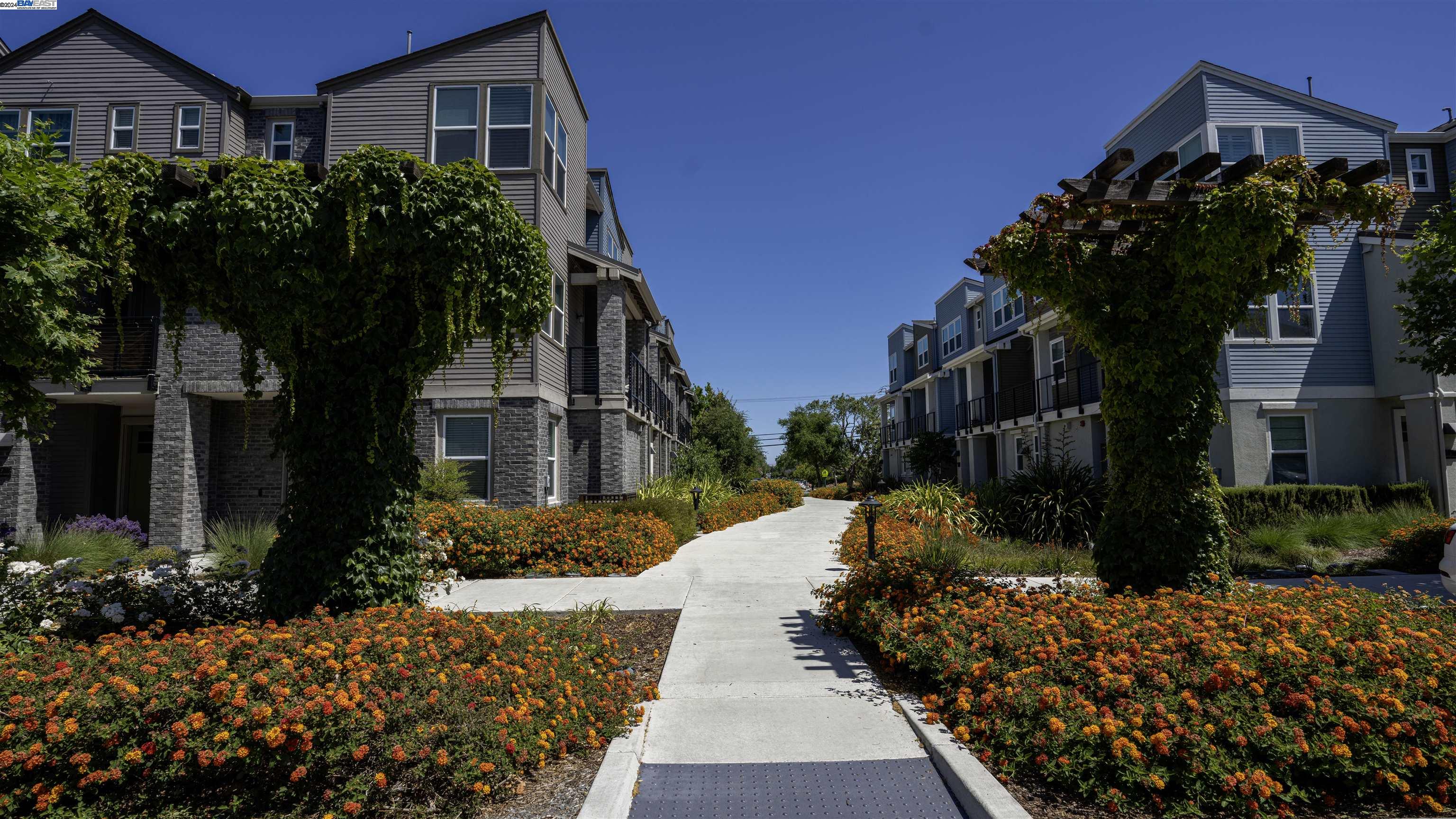 815 Cotati Ter # 8