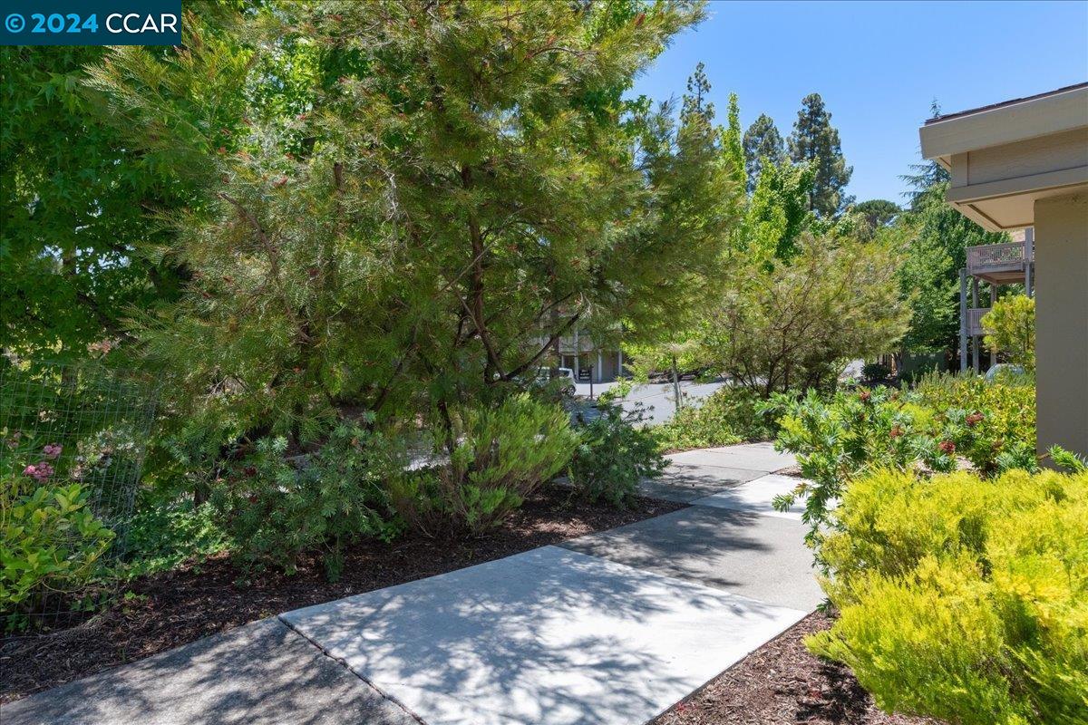 1200 Singingwood # 7
