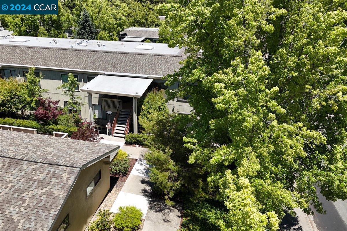 1200 Singingwood # 7