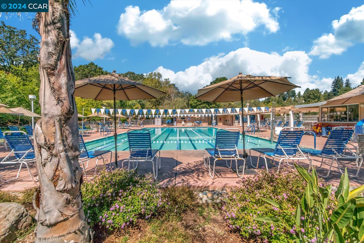 2717 Pine Knoll # 6