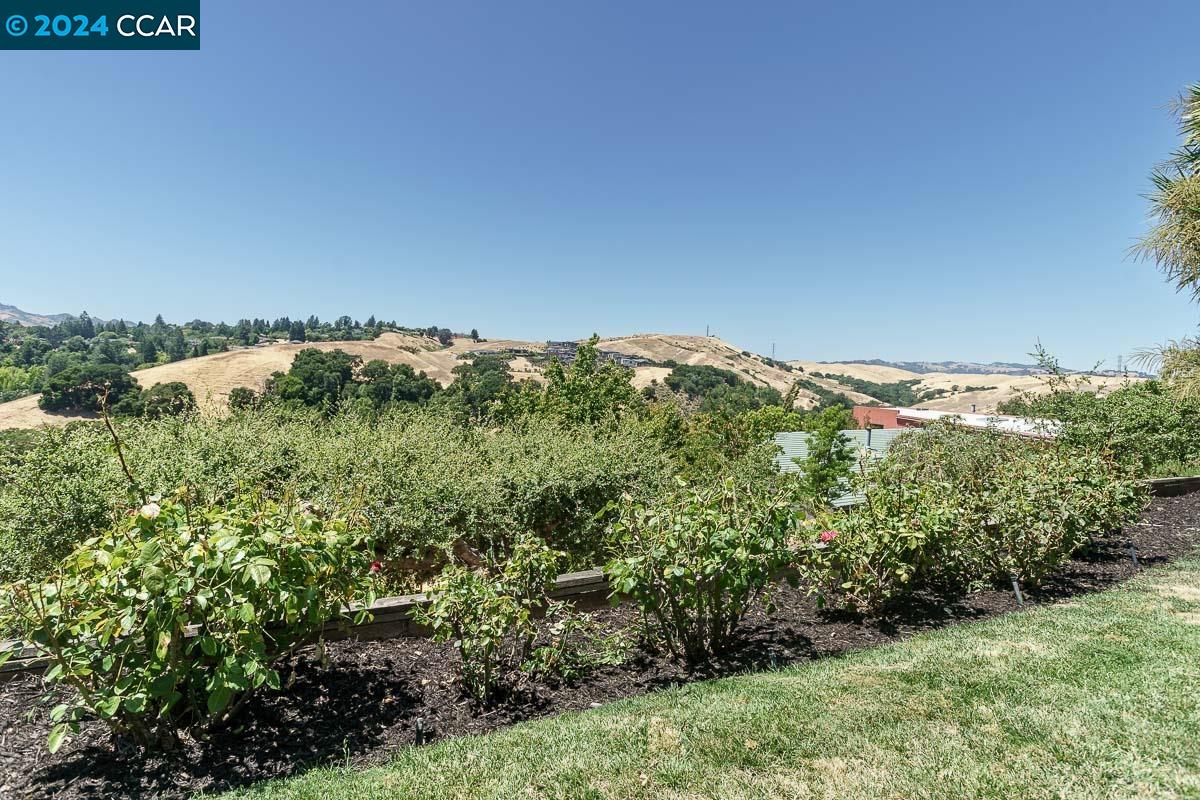115 Allen Ct