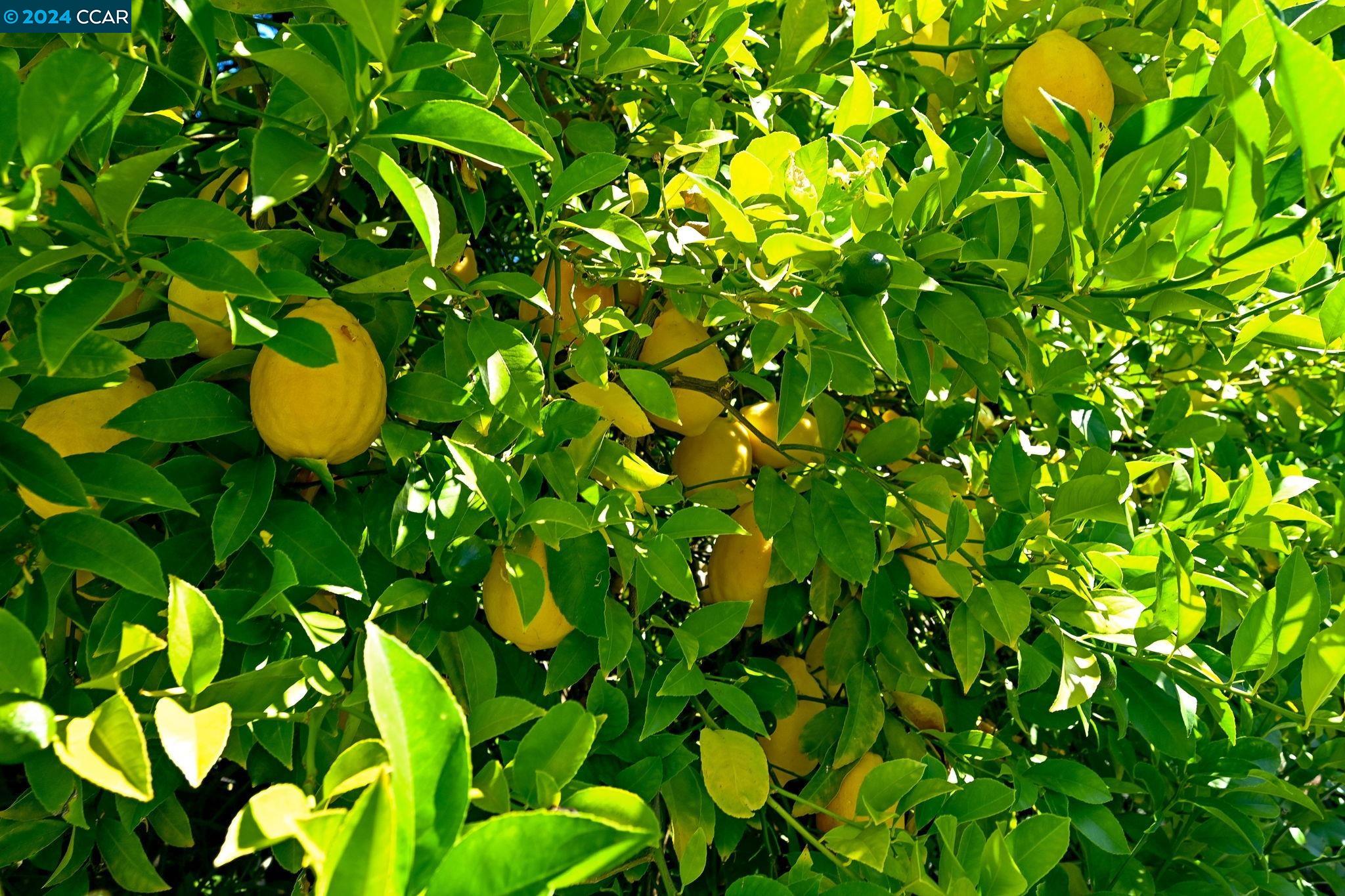 188 Castle Hill Ranch Rd