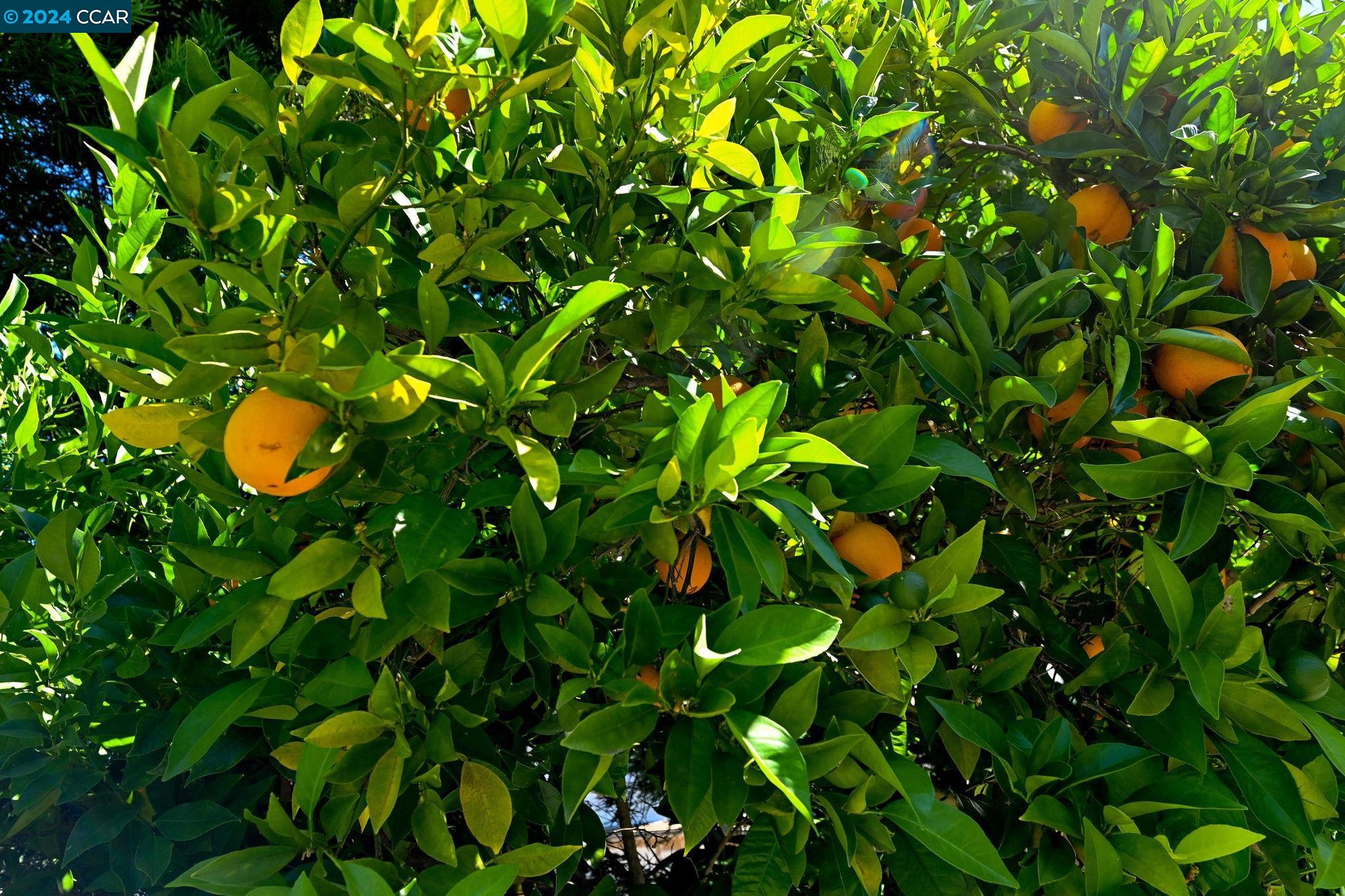 188 Castle Hill Ranch Rd