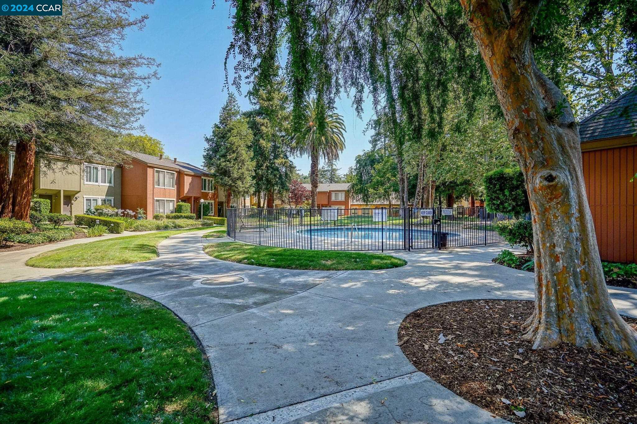 3051 Treat Blvd # 115