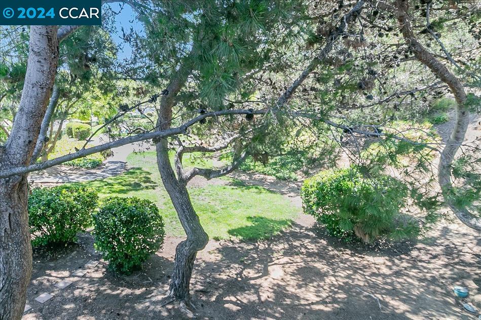 2259 Clearview Cir