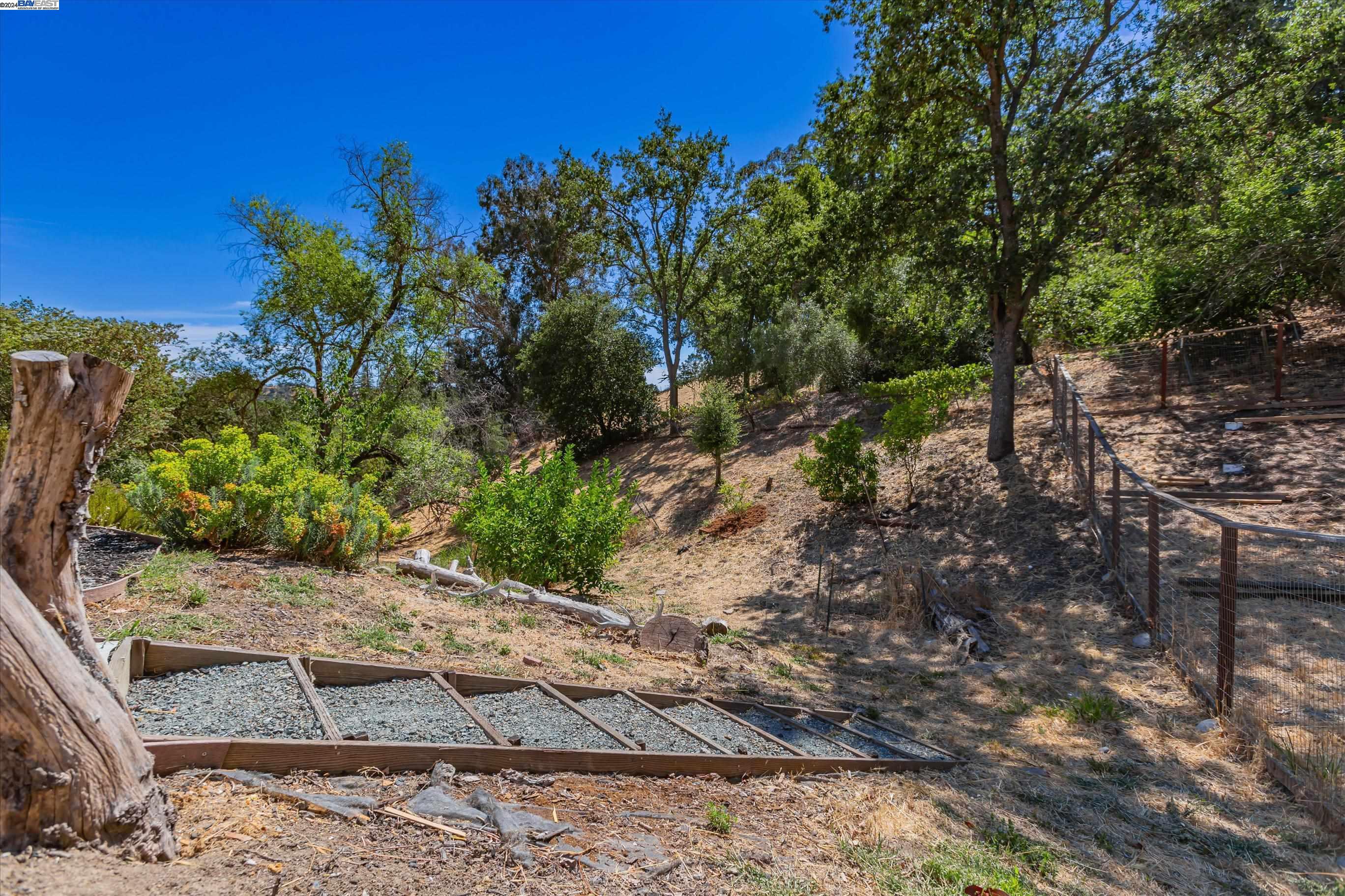 1339 El Curtola Blvd