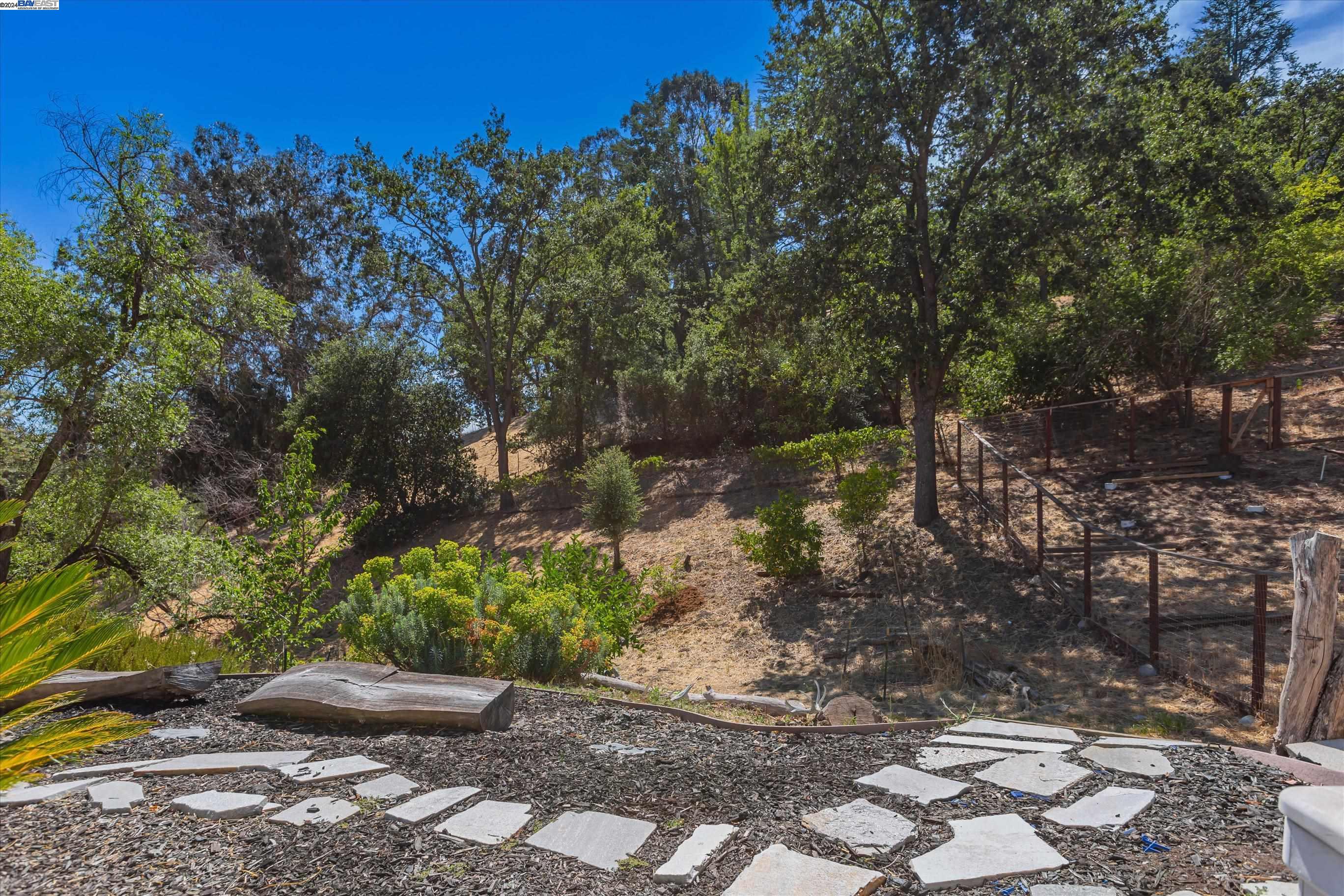 1339 El Curtola Blvd