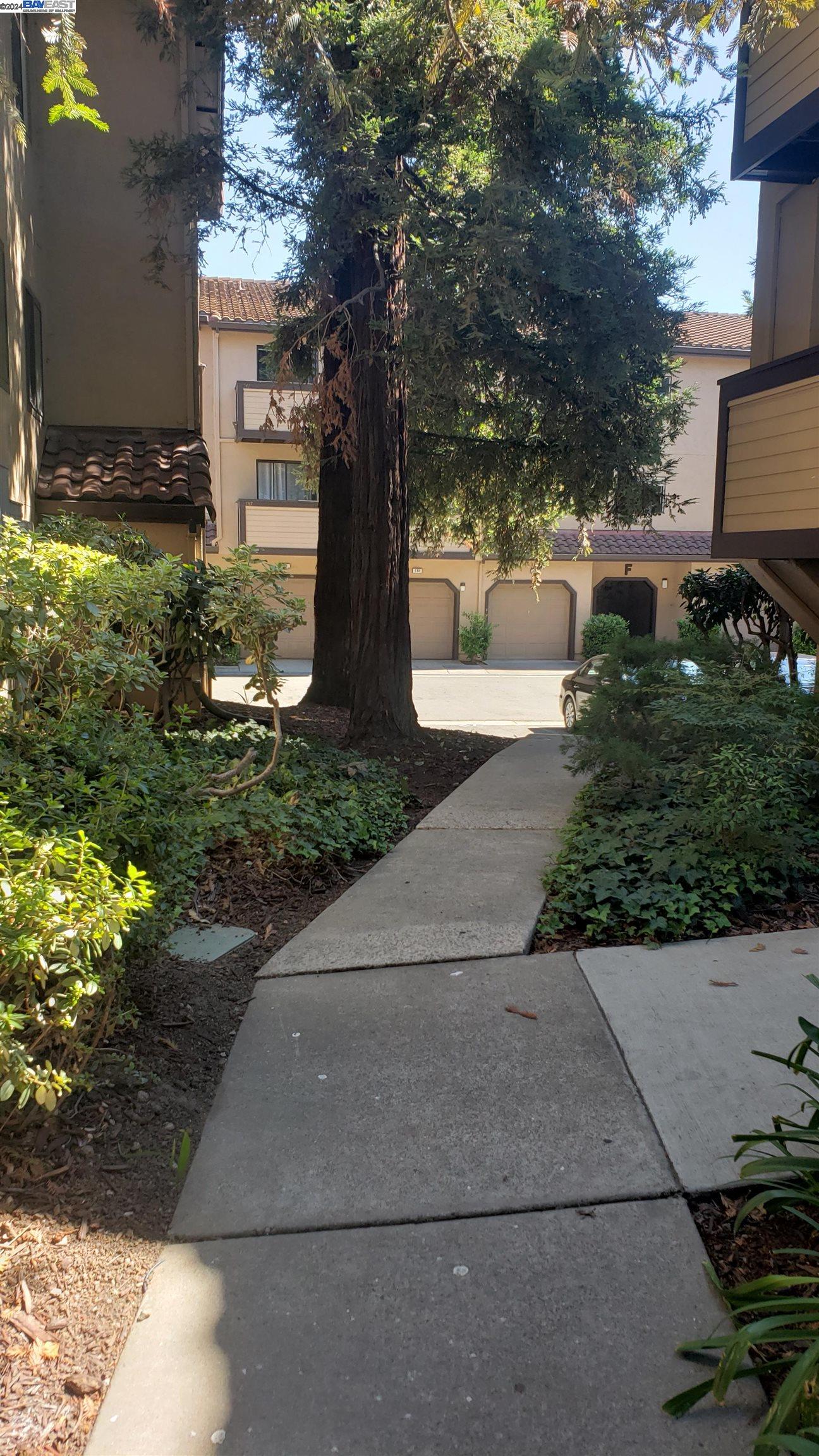138 Shaniko Cmn