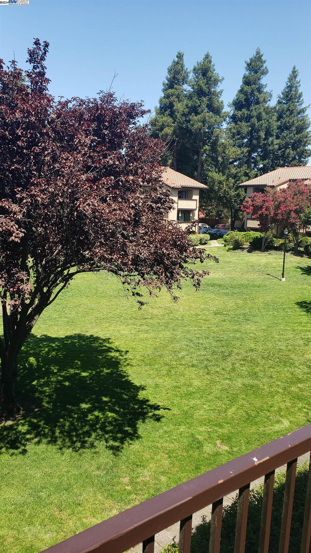 138 Shaniko Cmn