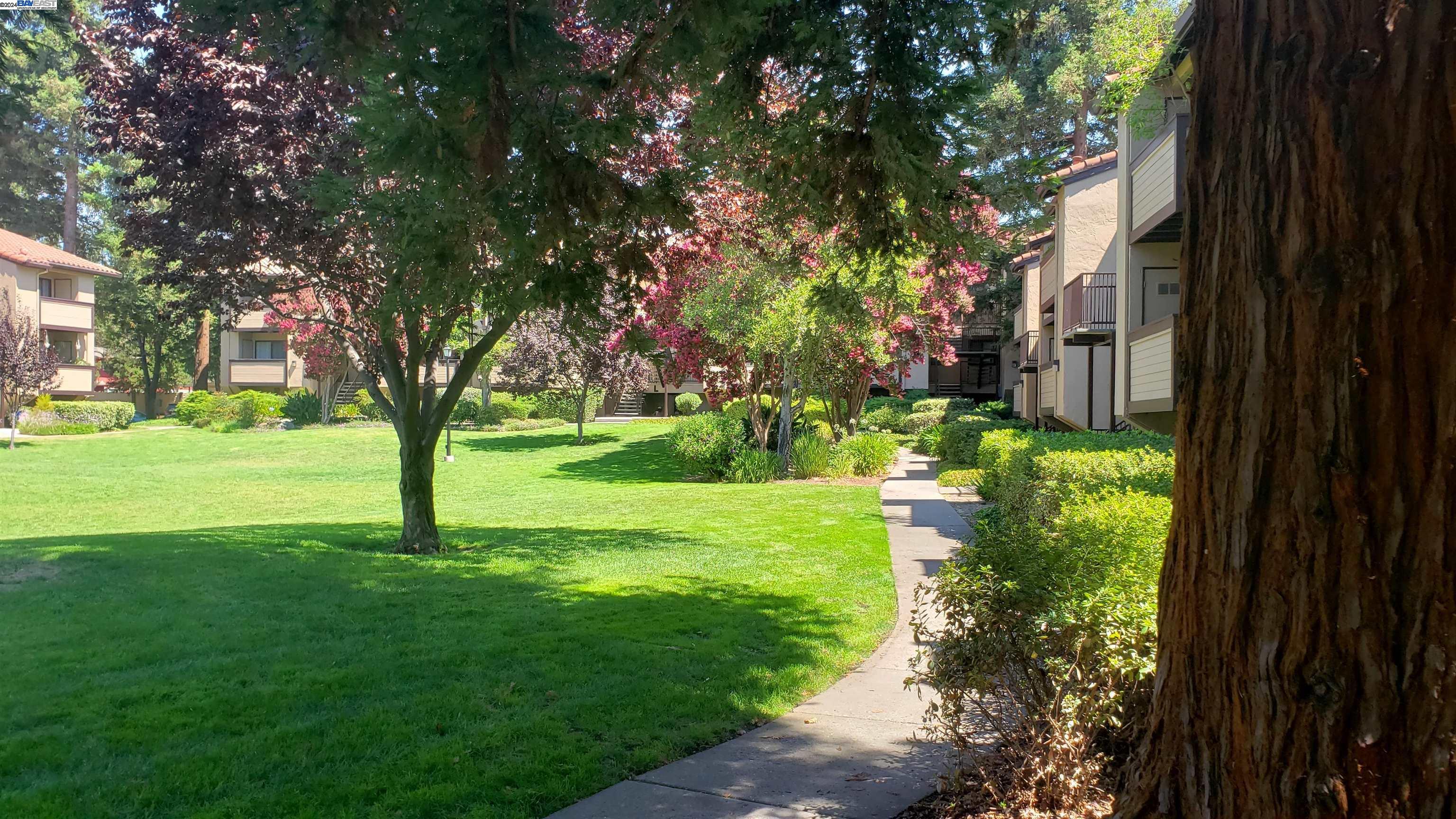 138 Shaniko Cmn