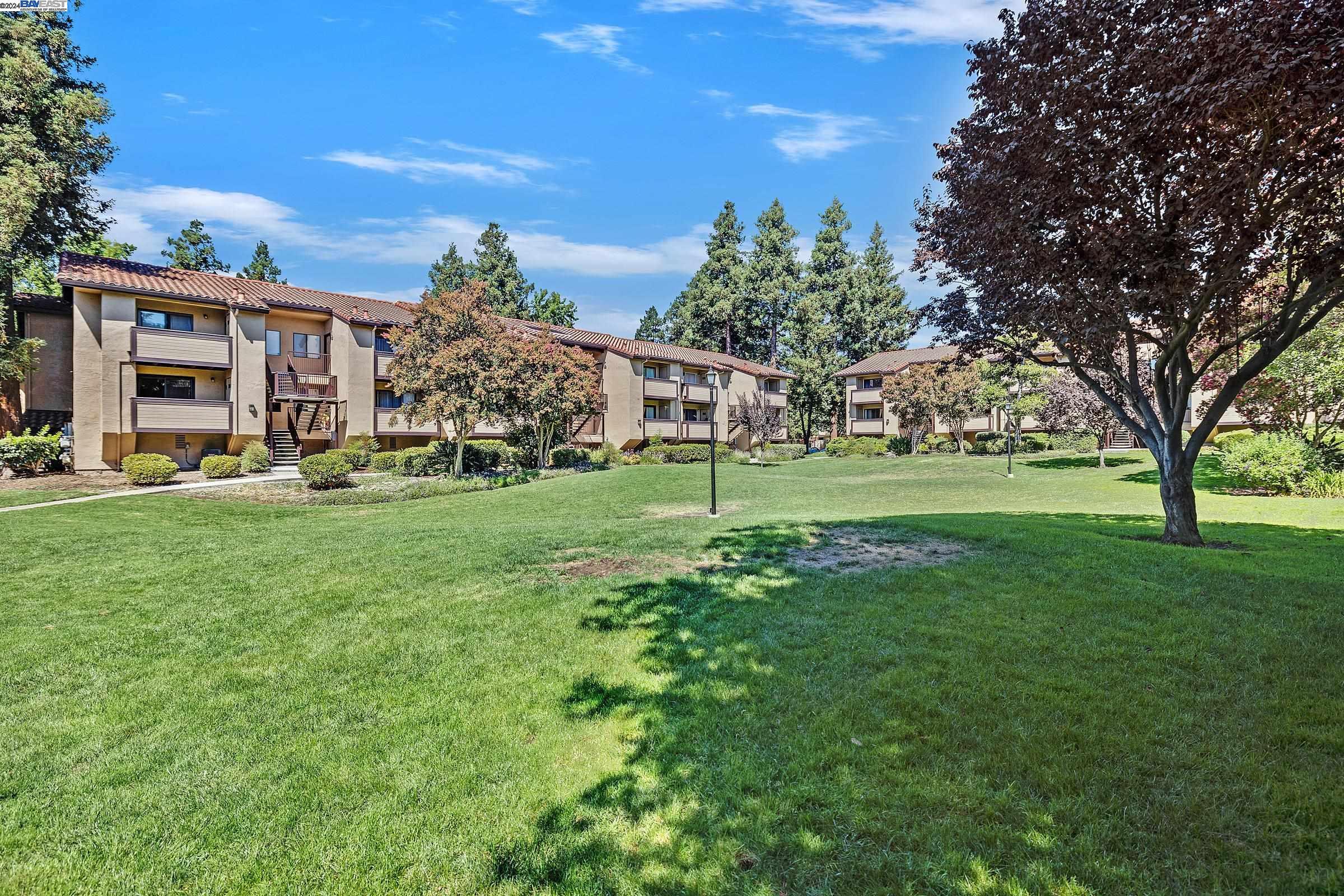 138 Shaniko Cmn