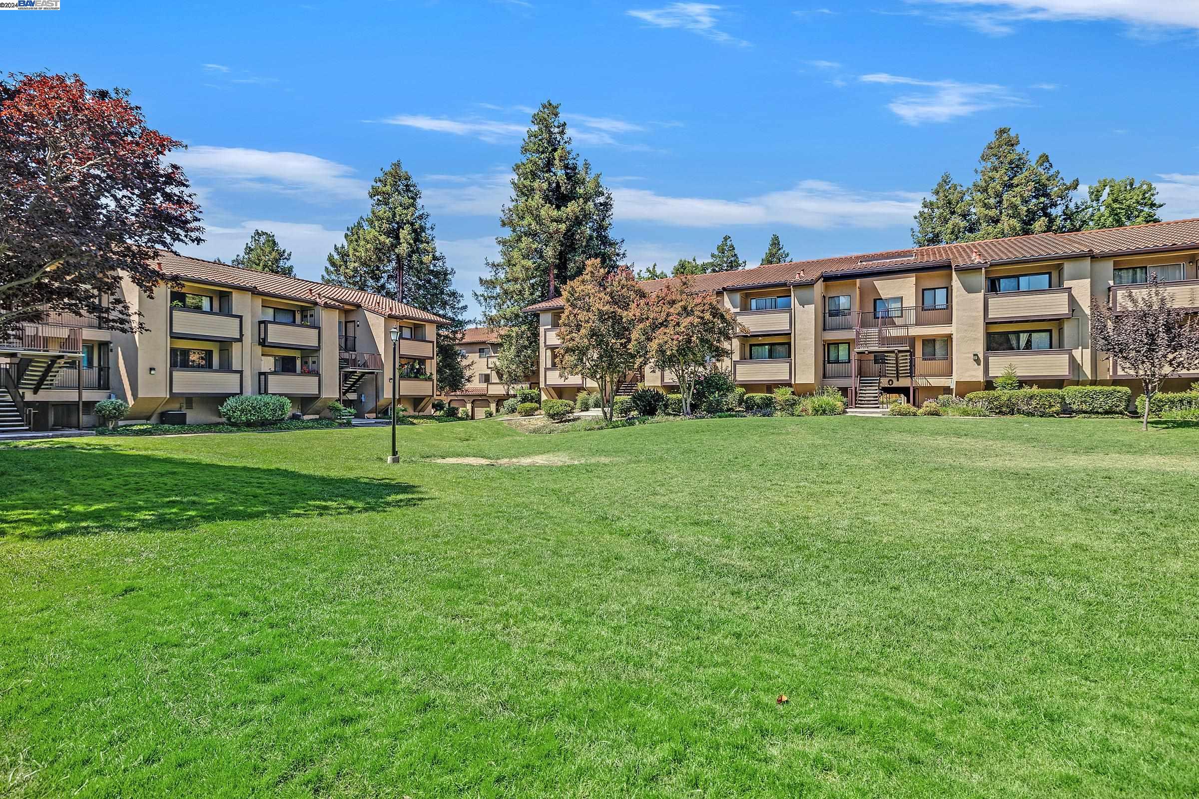 138 Shaniko Cmn