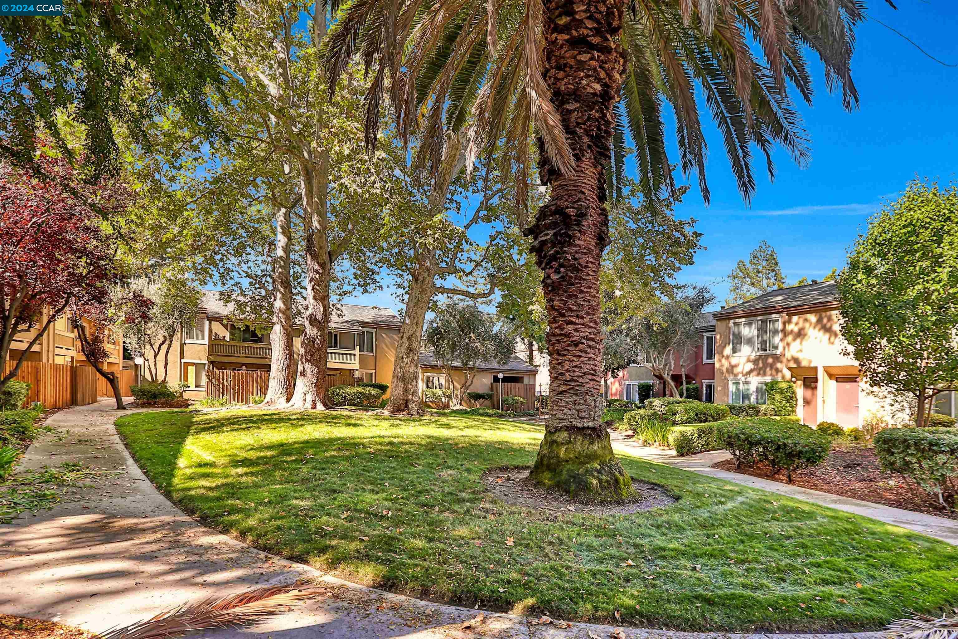 3051 Treat Blvd # 121