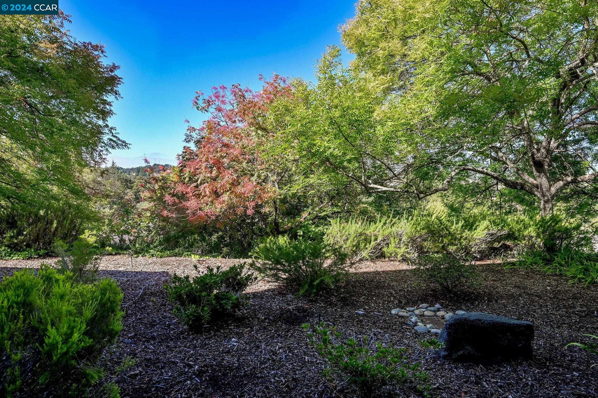 665 Terra California Dr. # 2 Unit: #2