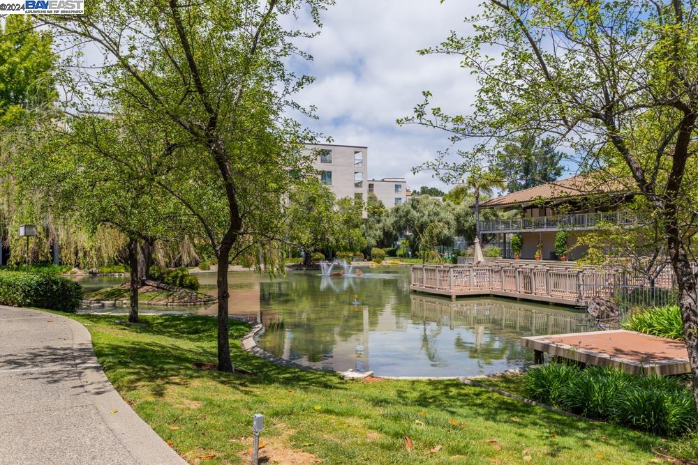 370 N Civic Dr # 411