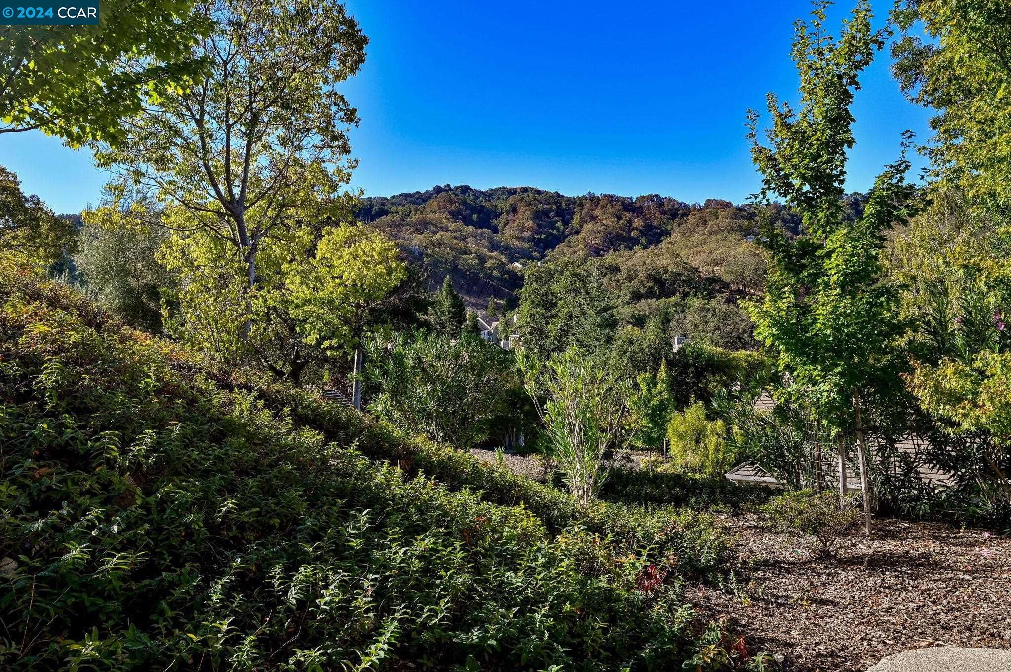 5357 Terra Granada Dr # 1A