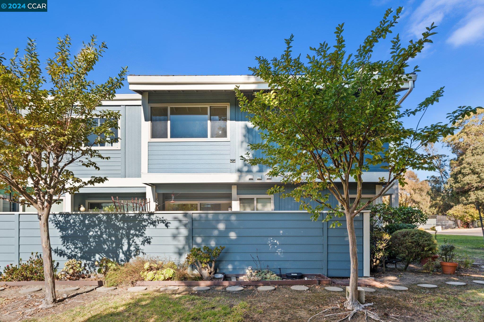 902 Bacchus # 5
