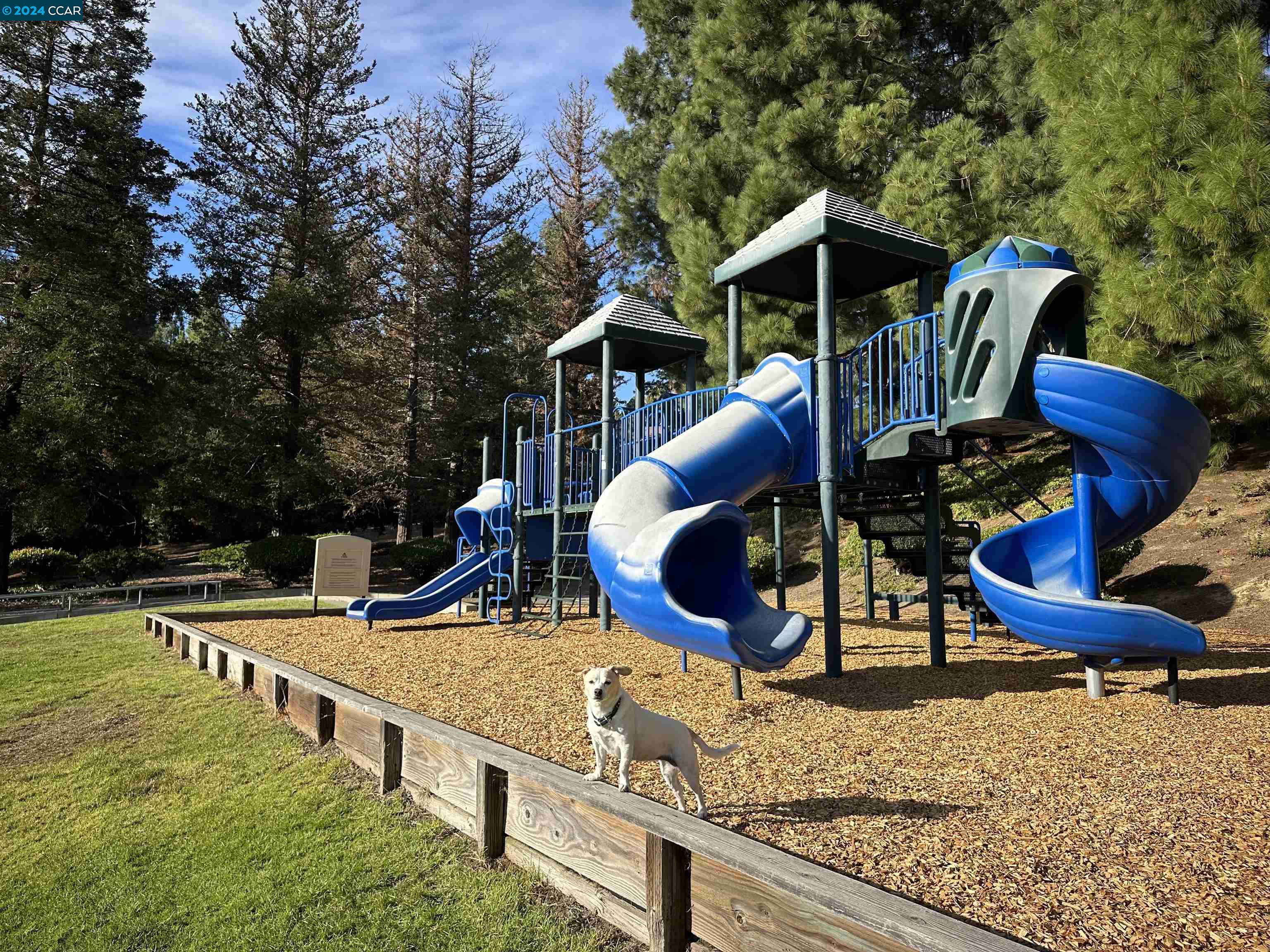 4866 Starflower Dr, Martinez 94553