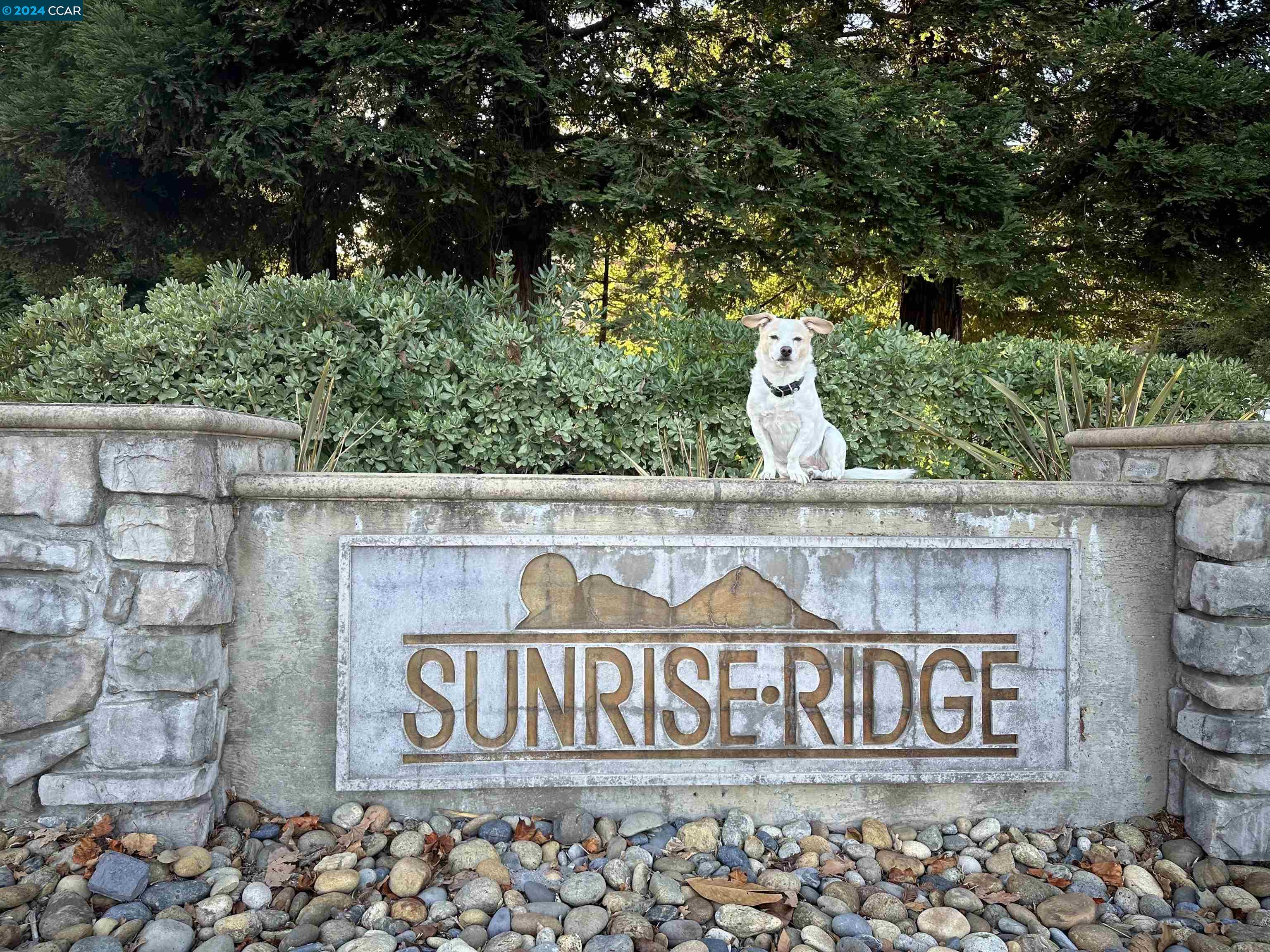 4866 Starflower Dr, Martinez 94553