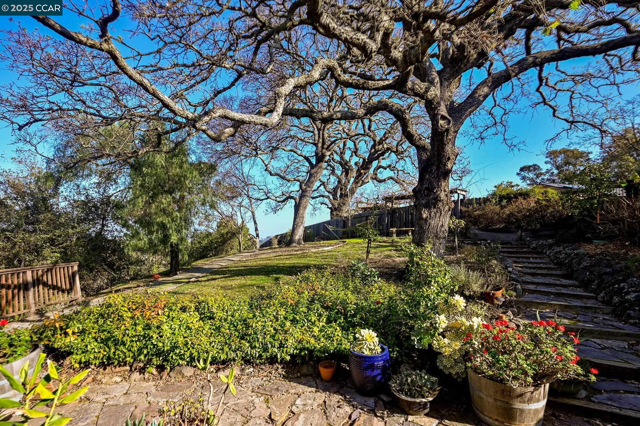 1025 Pine Meadow Ct.