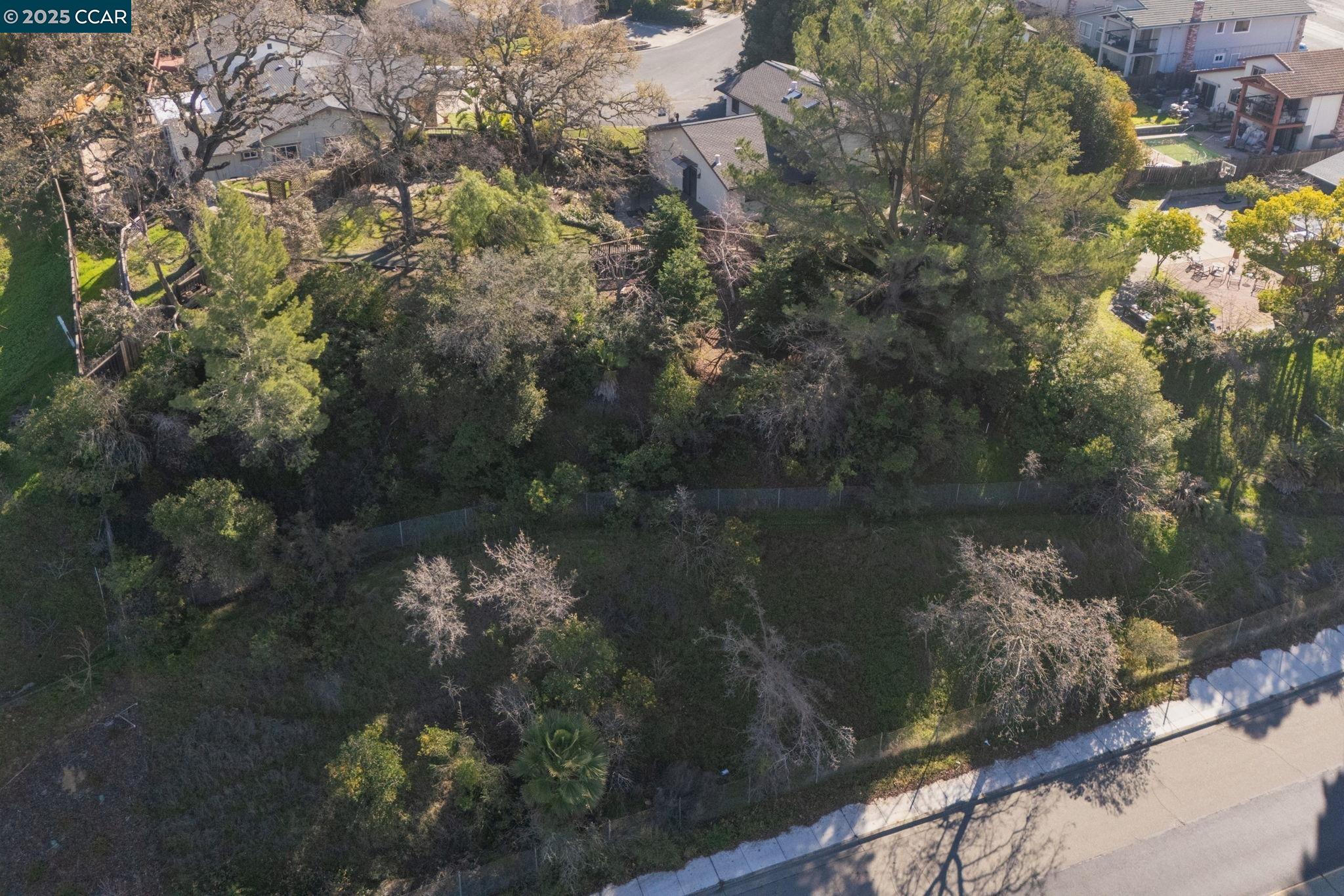 1025 Pine Meadow Ct.