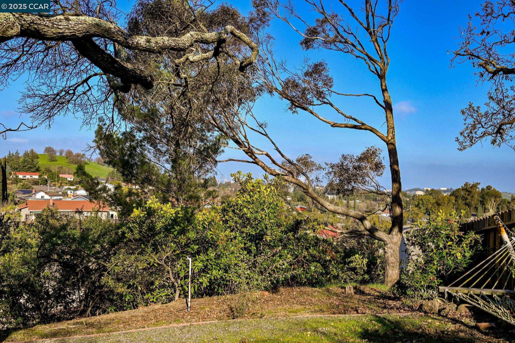 1025 Pine Meadow Ct.