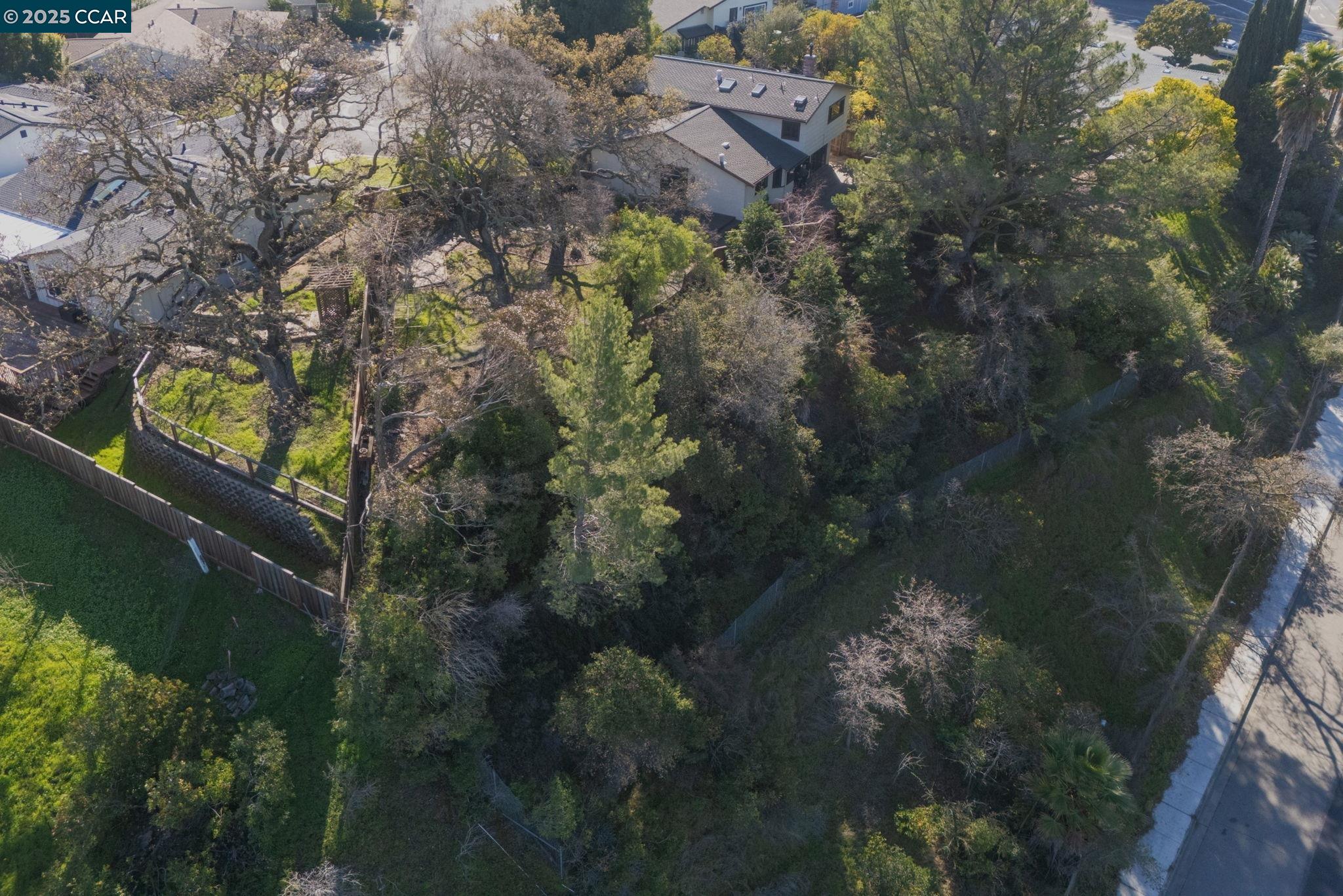 1025 Pine Meadow Ct.