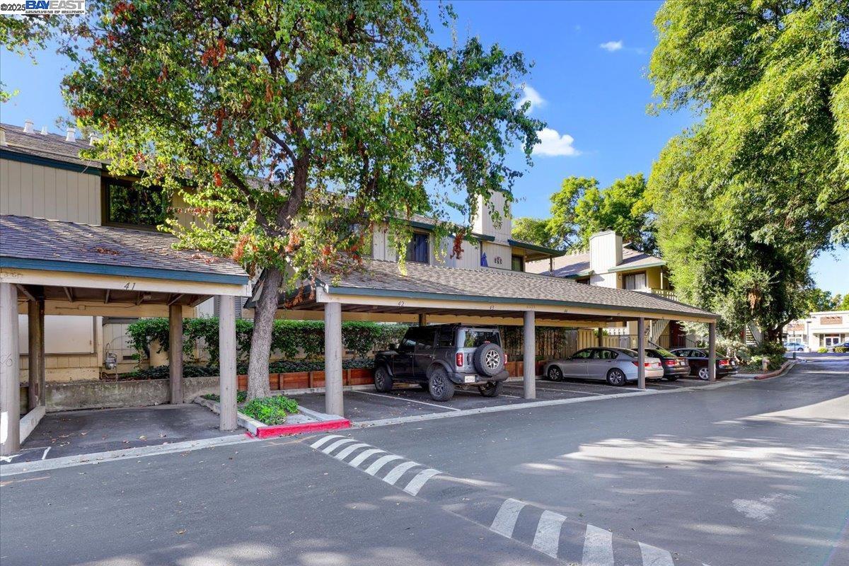 1439 Alma Loop