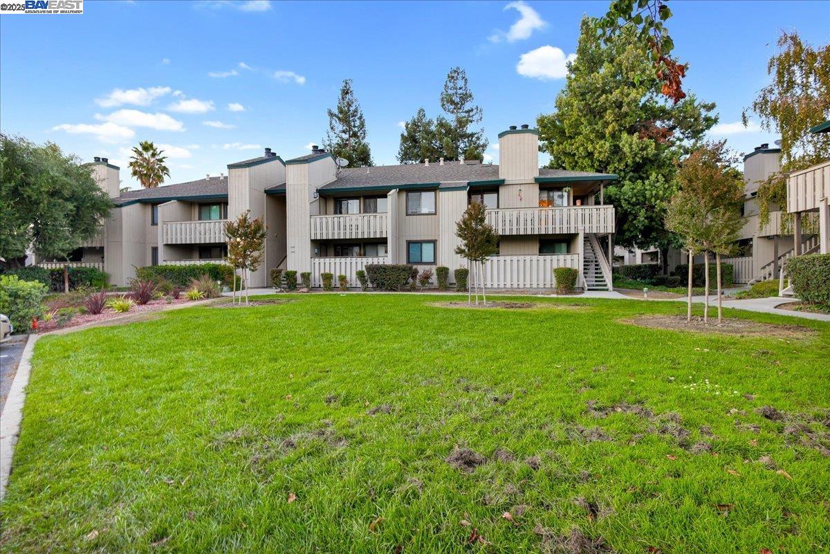 1439 Alma Loop