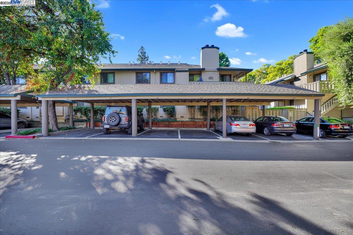 1439 Alma Loop