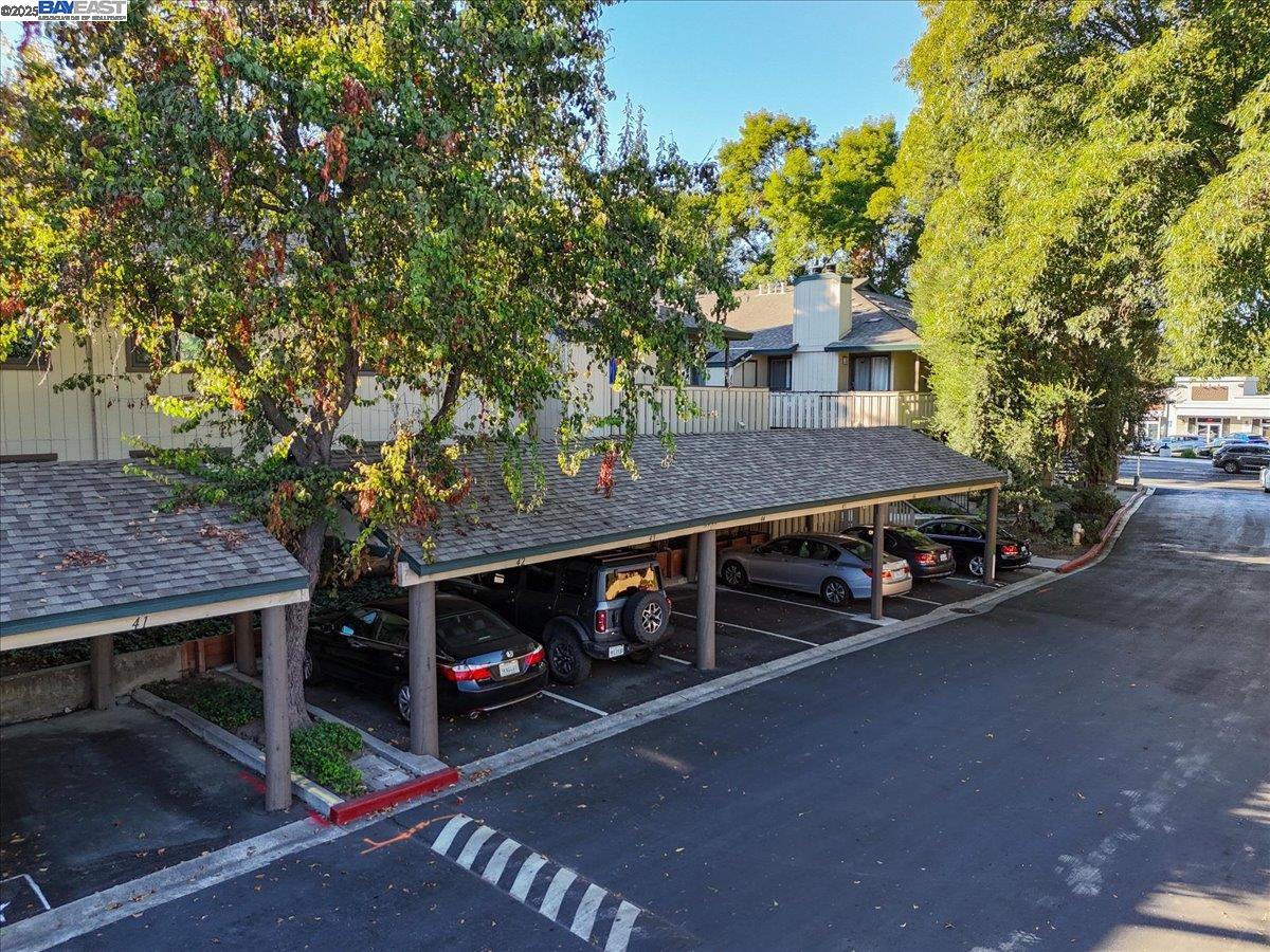 1439 Alma Loop