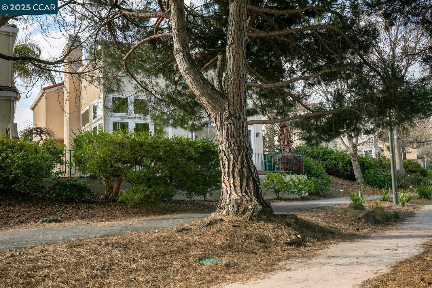 151 Diapian Bay
