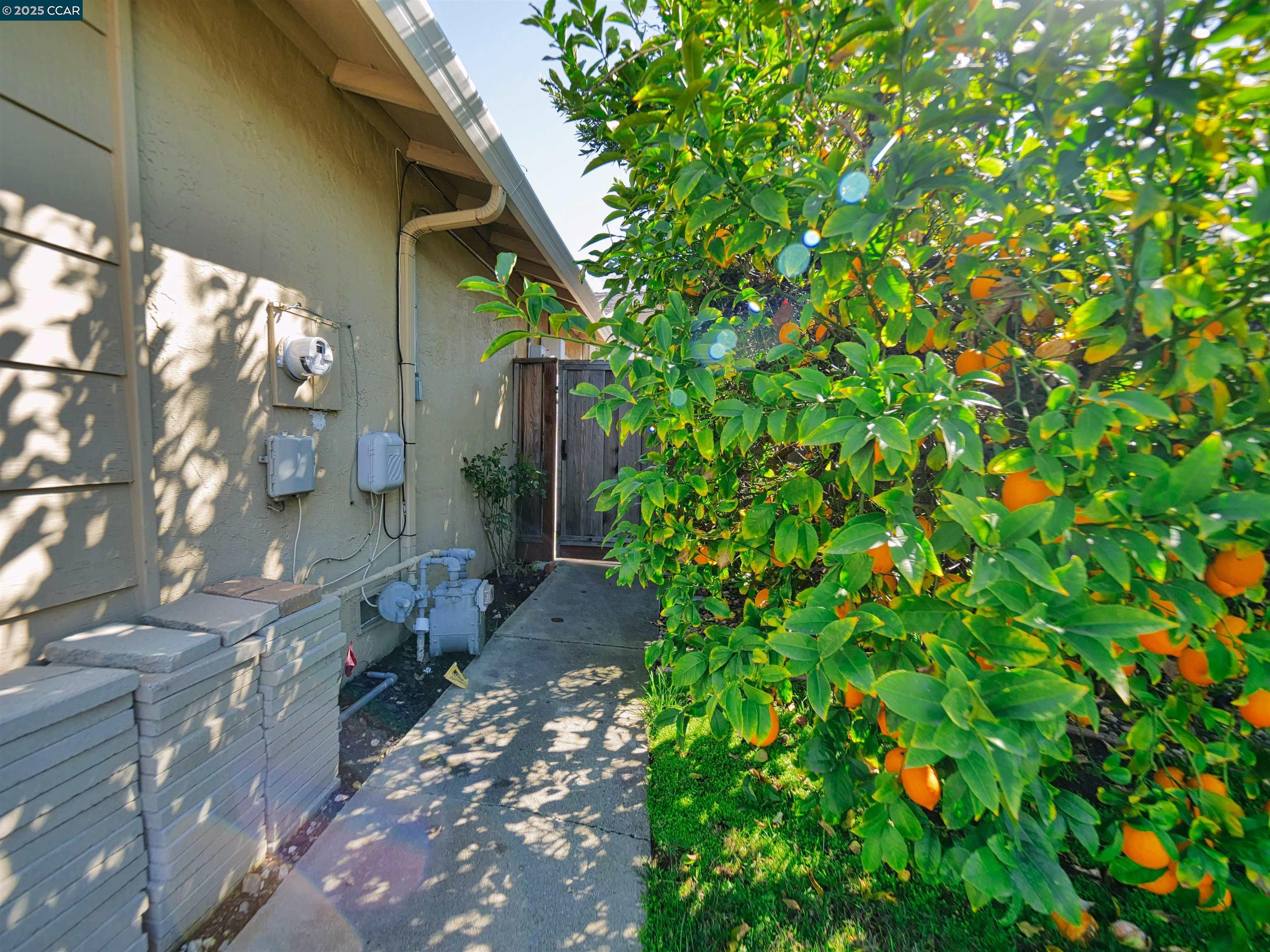 6714 Rancho Court