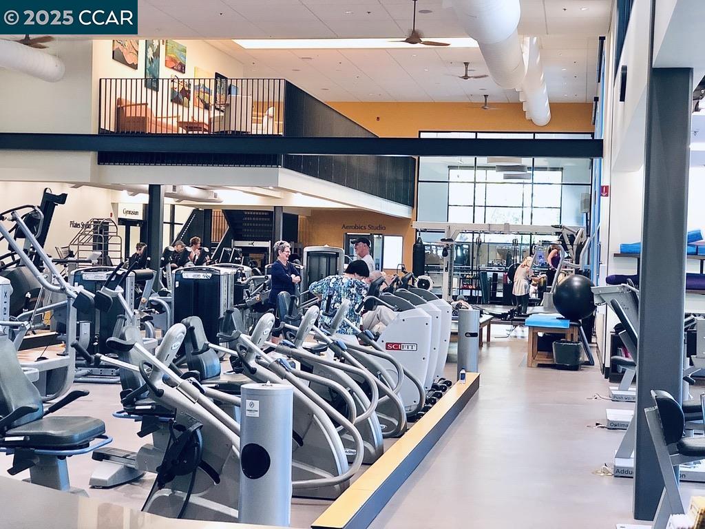 2061 Pine Knoll Dr # 4